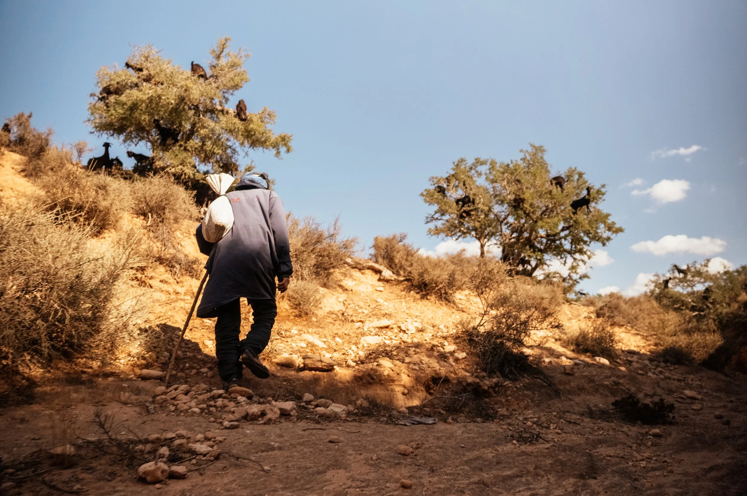 A person hiking uphill on a rocky trail through dry, semi-arid terrain with bushes and trees, under a blue sky with scattered clouds.