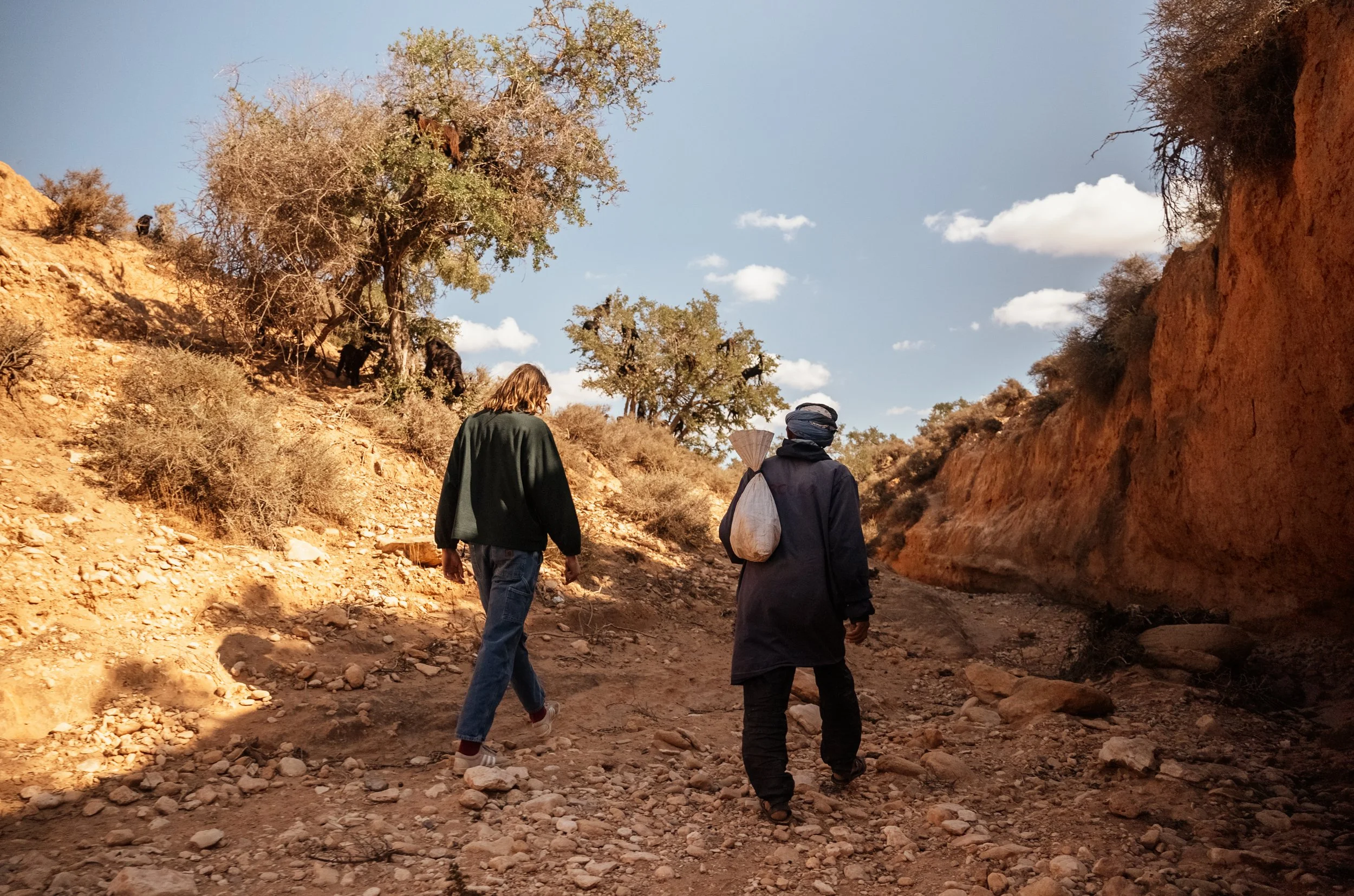 Two people walking on a rocky dirt trail surrounded by arid desert terrain and sparse trees under a partly cloudy sky.