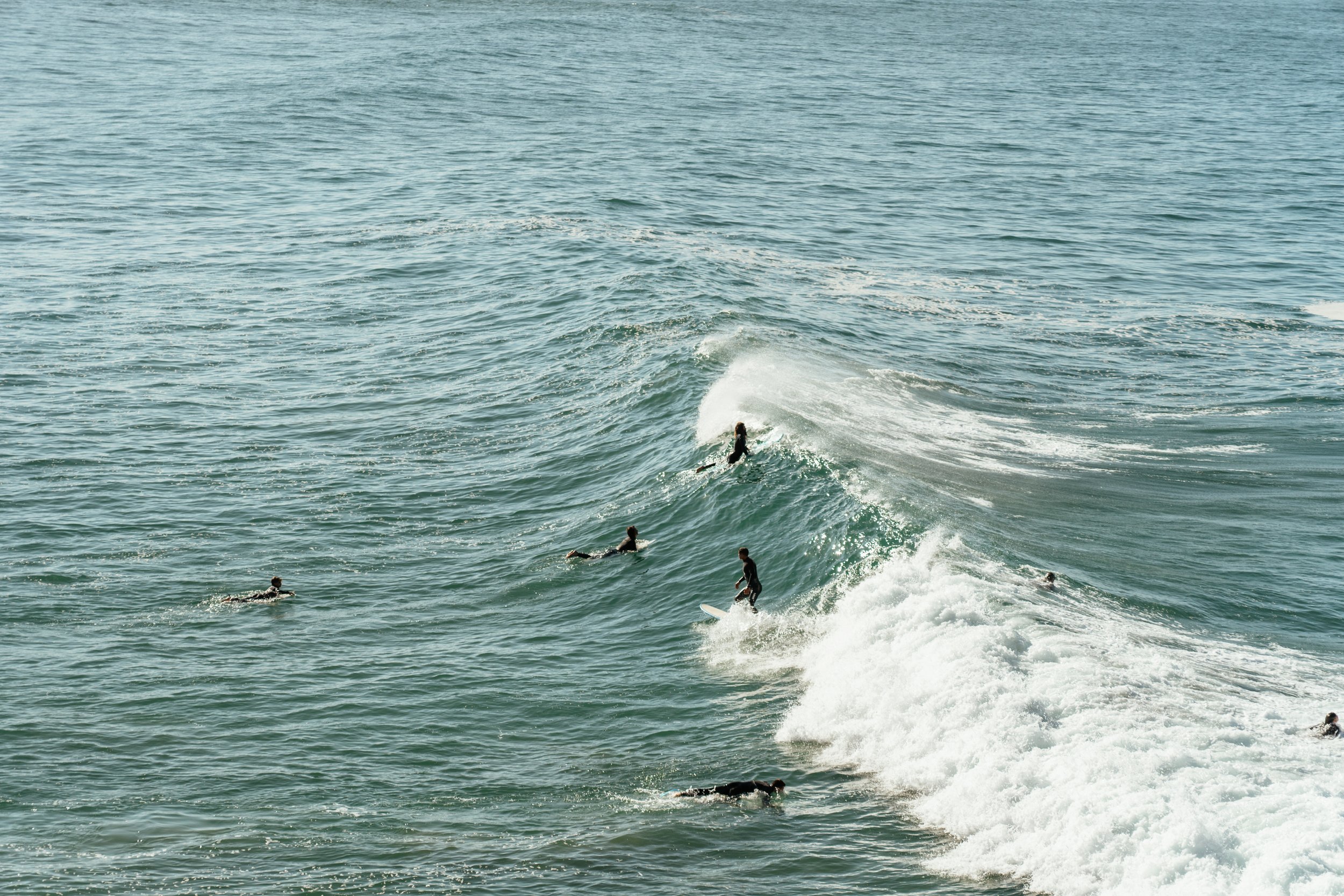 People surfing and swimming in the ocean on a sunny day.