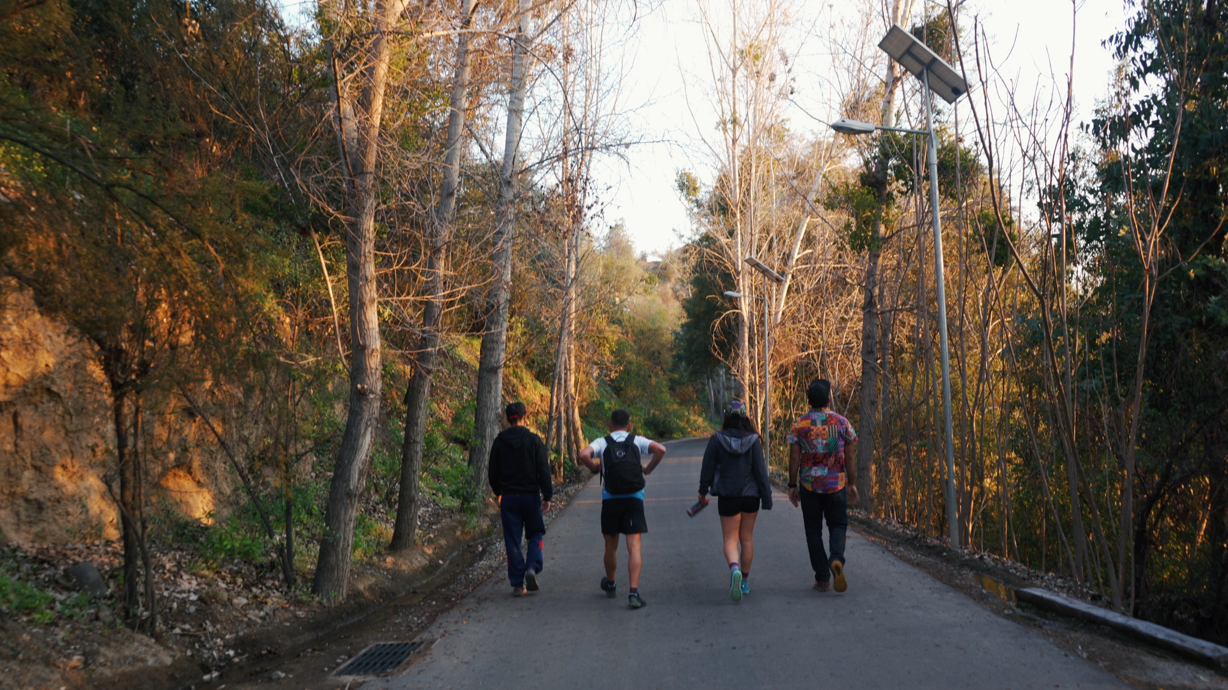 Five people walking on a wooded road during sunset or sunrise with bare and green trees and solar-powered streetlights.