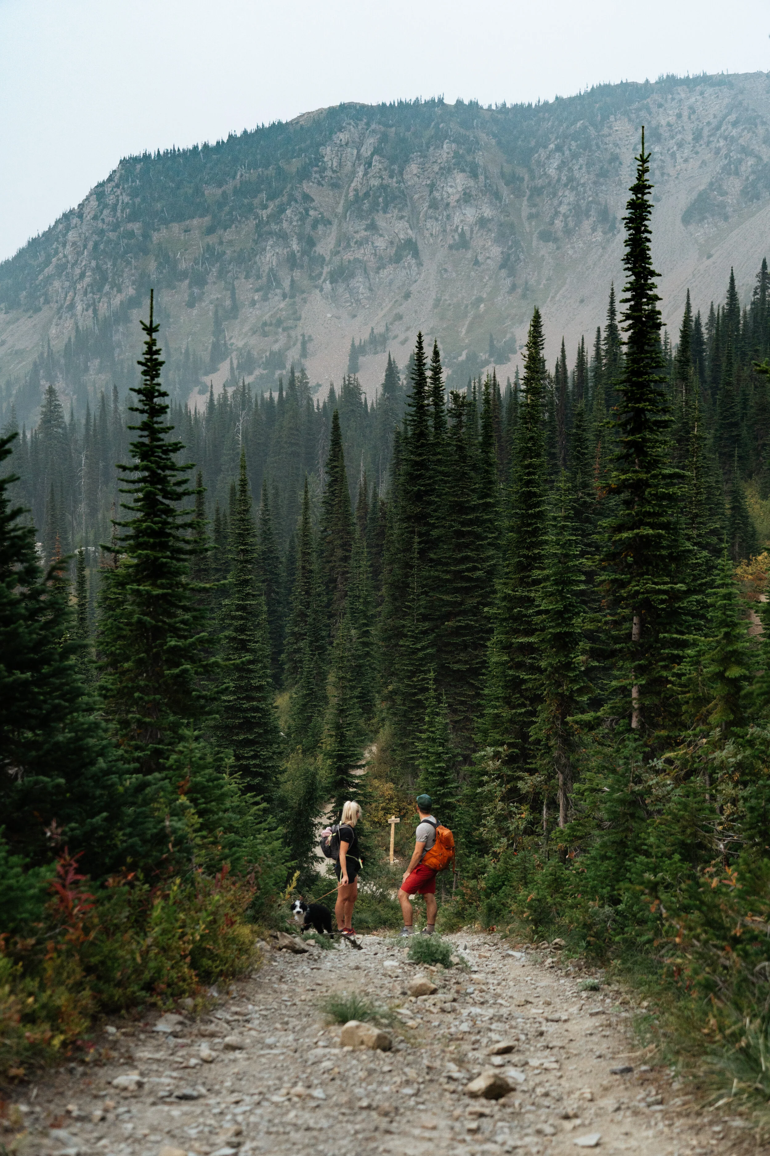 Two hikers, a woman and a man, standing on a rocky trail in a dense forest of tall pine trees with mountains in the background.