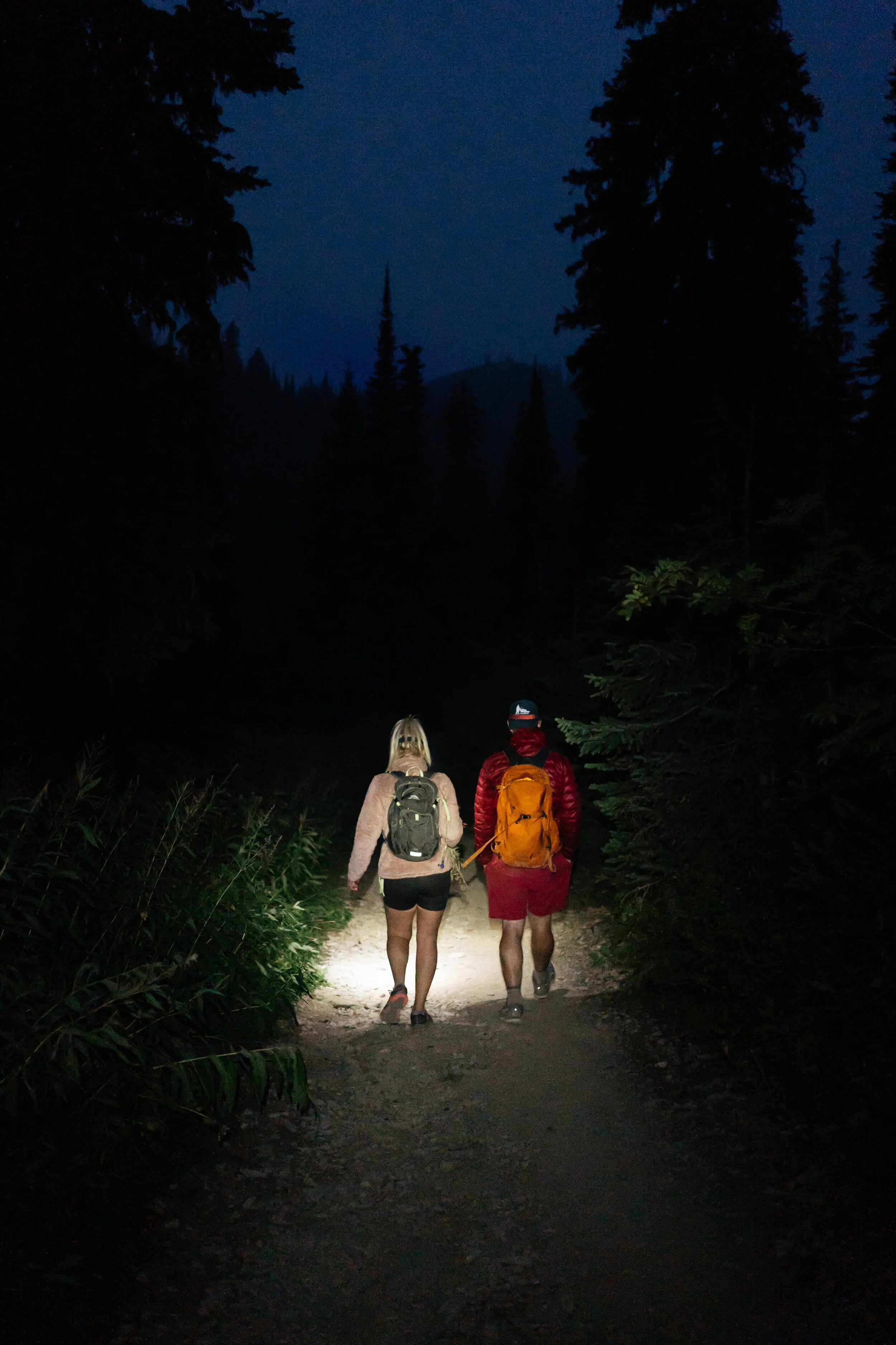 A couple hiking on a forest trail at night, illuminated by a flashlight, surrounded by tall trees and dark sky.