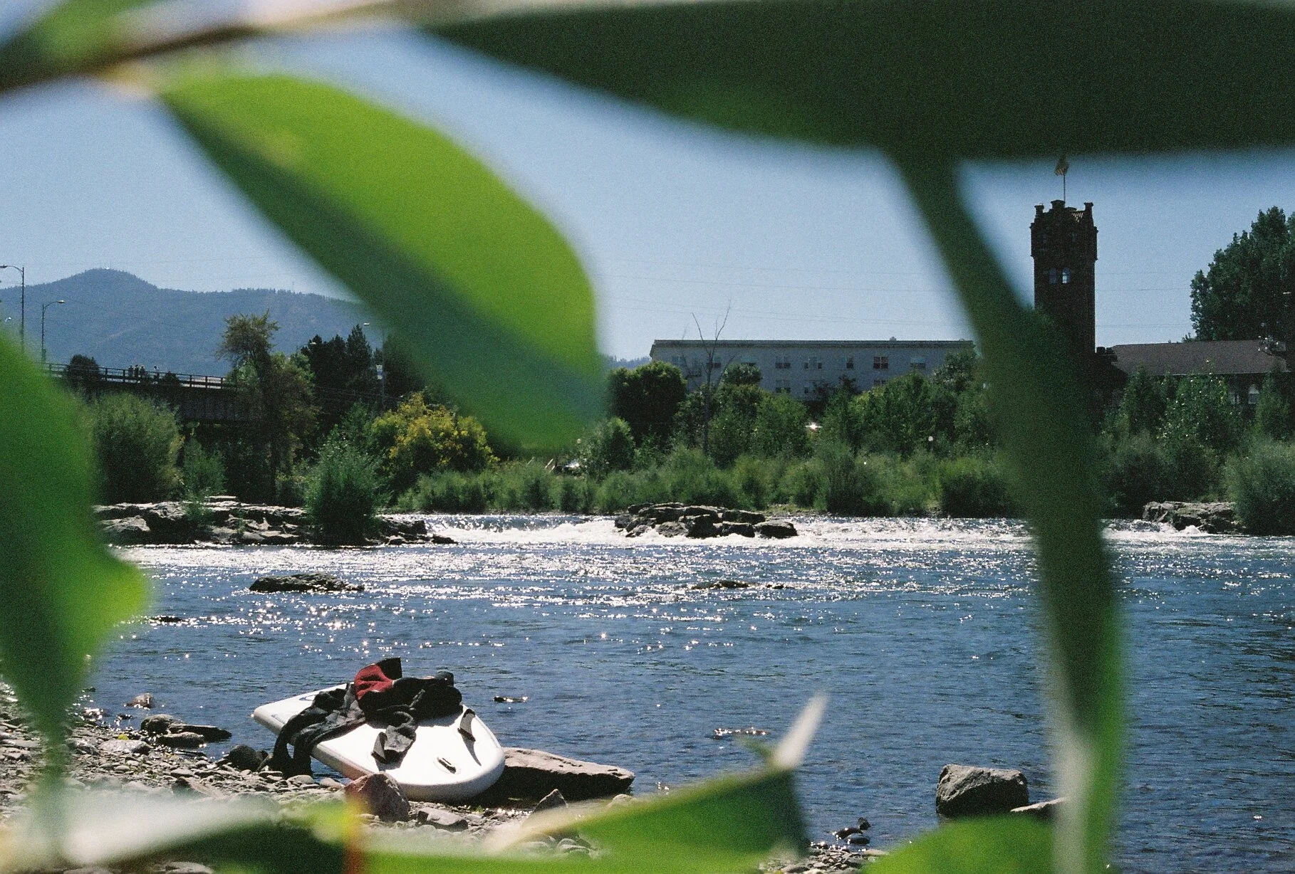 A river scene with green leaves in the foreground, a paddleboard and gear on the rocky bank, trees and buildings in the background, and mountains in the distance.