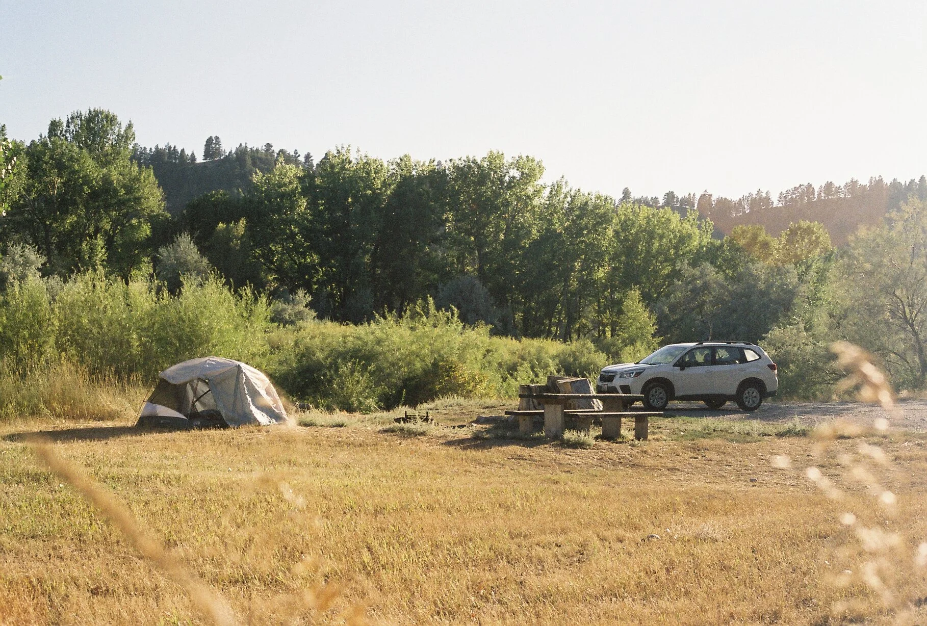 A camping site in a grassy field with a tent, a picnic table, and a silver SUV, surrounded by trees and hills under a clear sky.