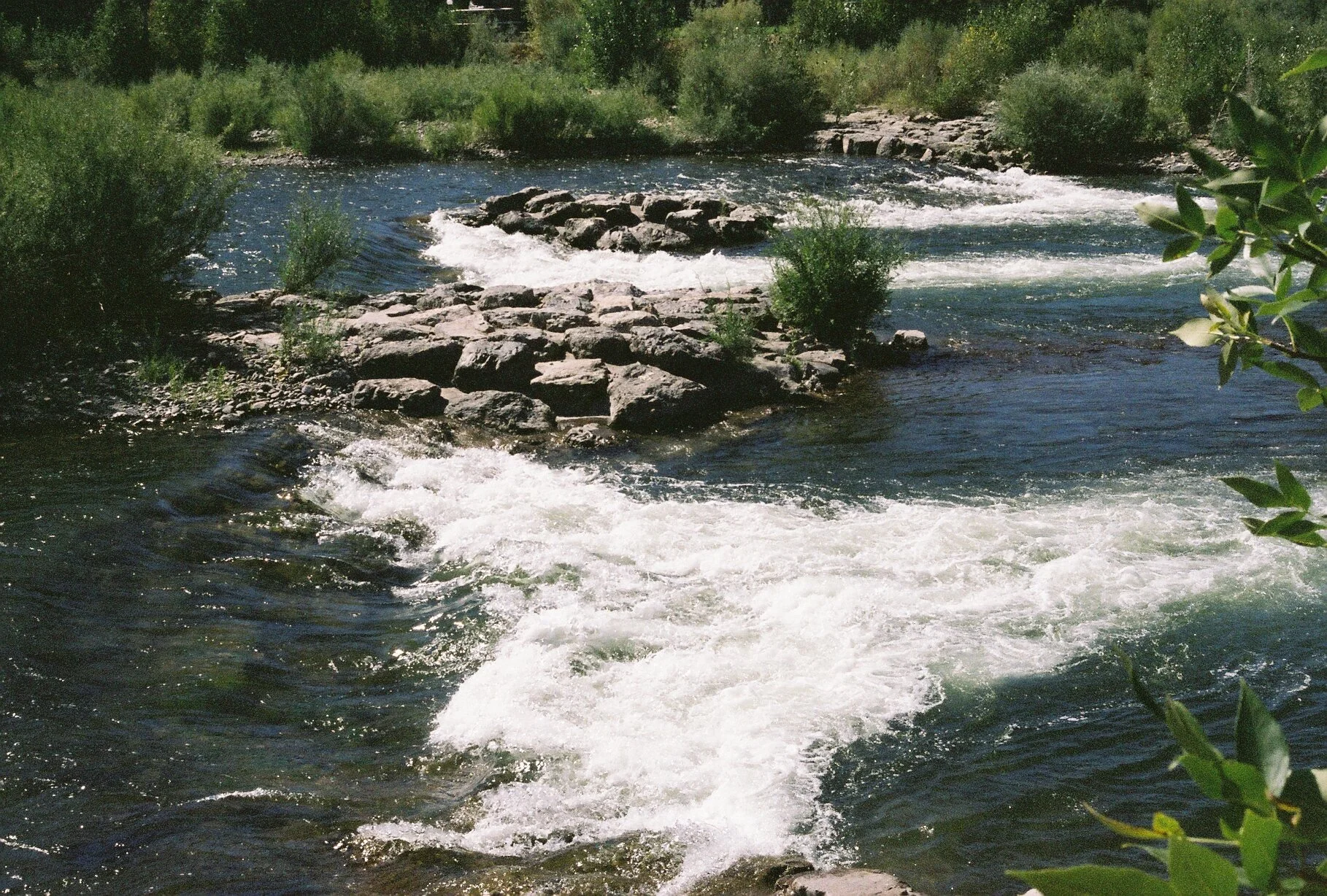 A flowing river with rocks and greenery along the banks on a sunny day.