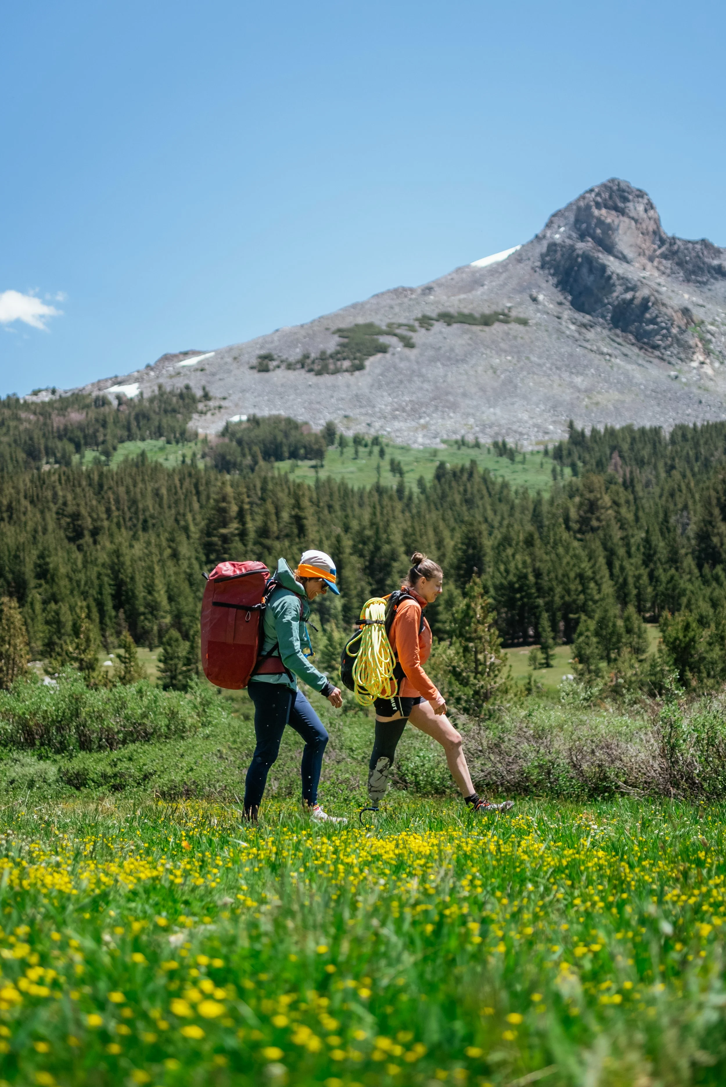 Two women hiking in a green meadow with yellow flowers, forest, and mountain in the background on a clear day.
