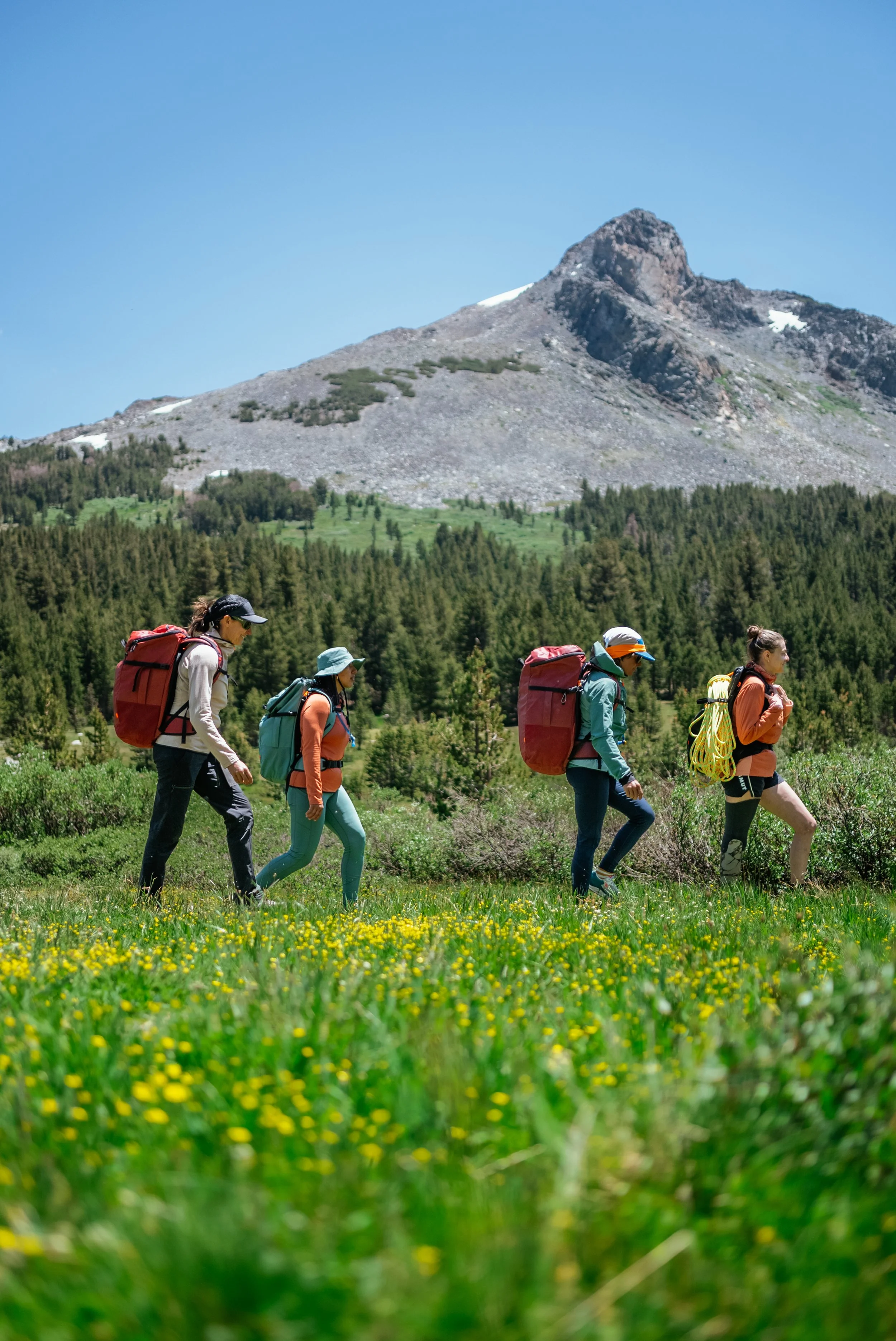 Four hikers walking through a lush green meadow with yellow flowers, carrying backpacks, with a mountain and forest in the background.