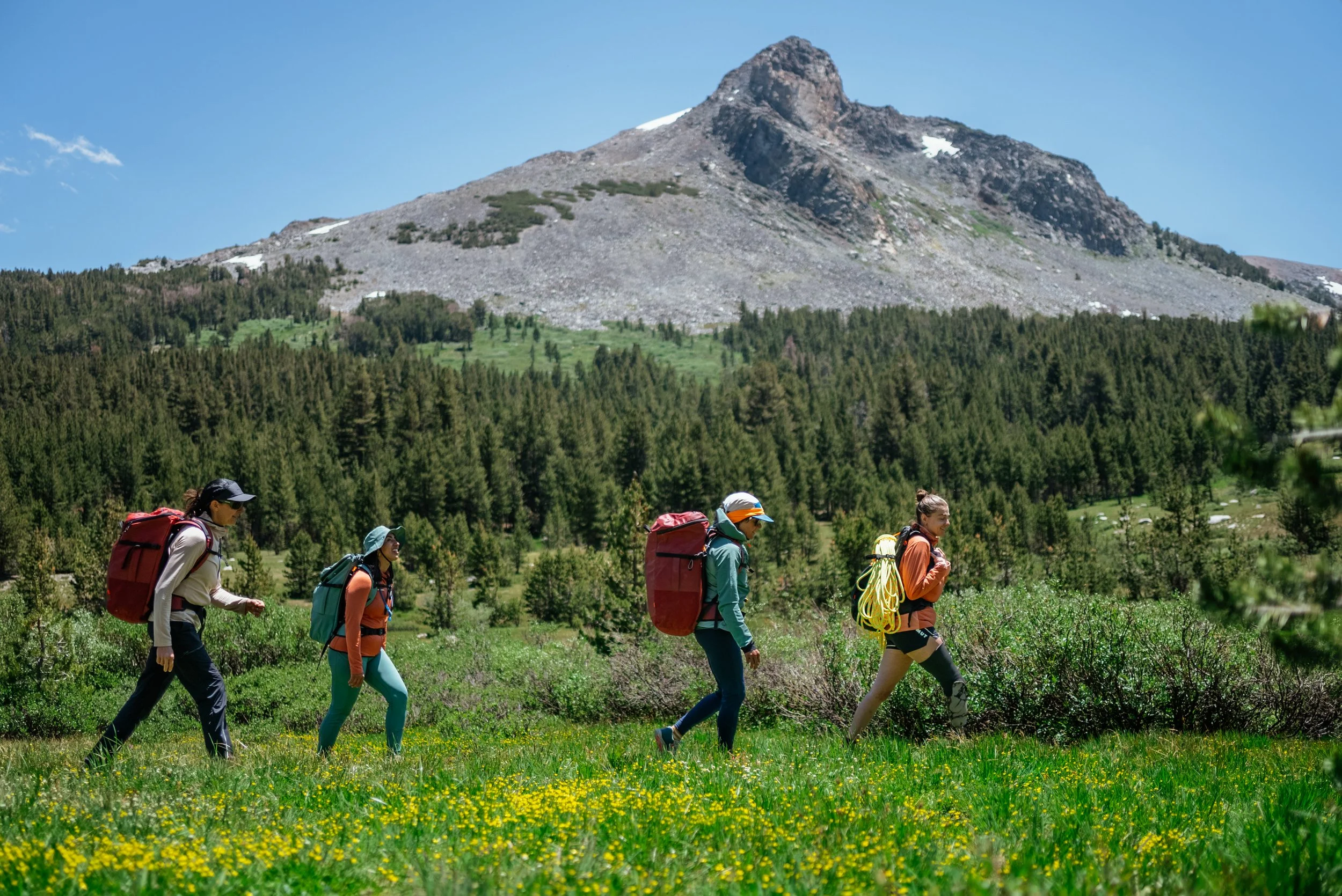 Four hikers walking through a lush, green field with yellow flowers, with a mountain and pine forest in the background.