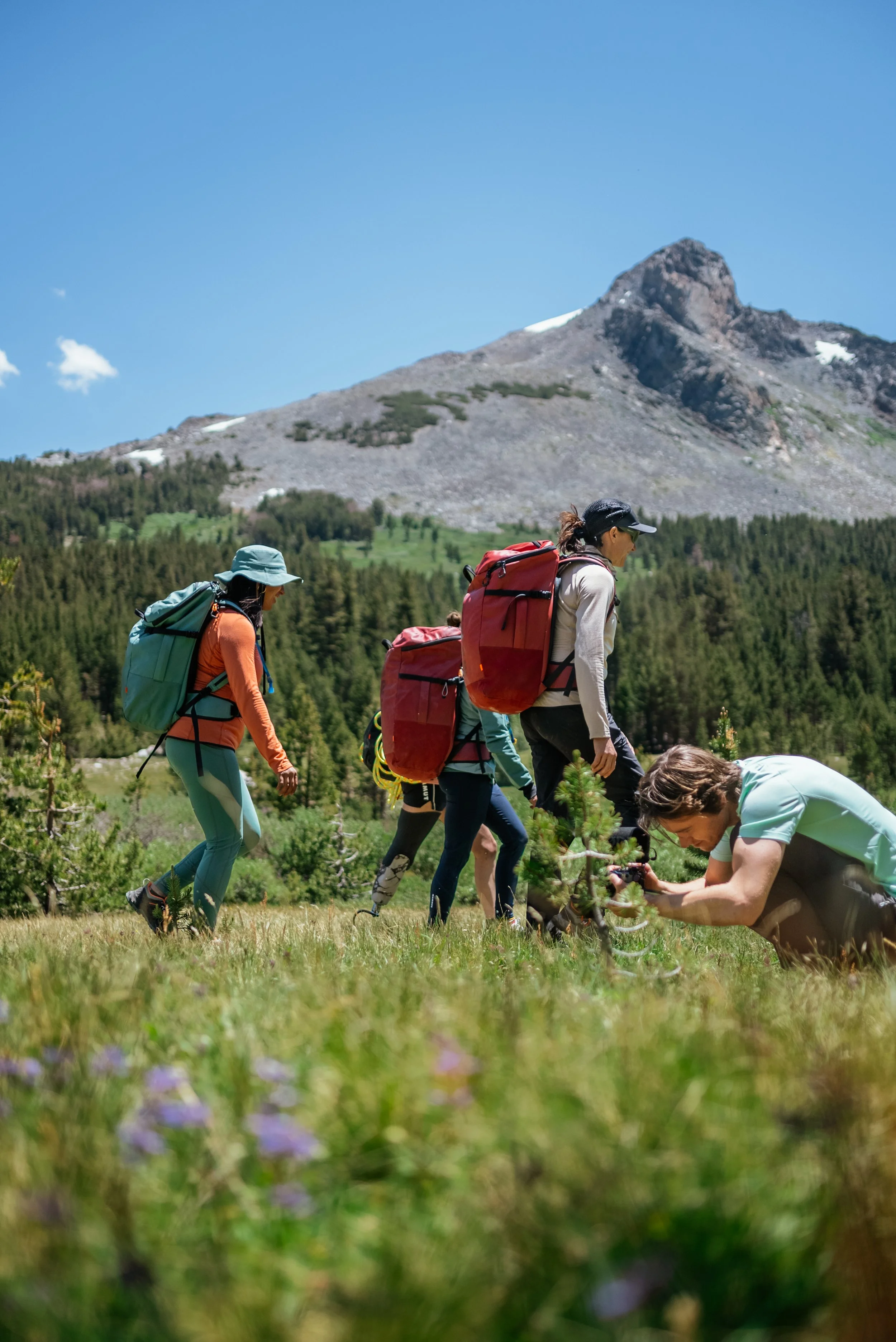 Group of hikers with backpacks exploring a lush green meadow with a mountain in the background on a sunny day.