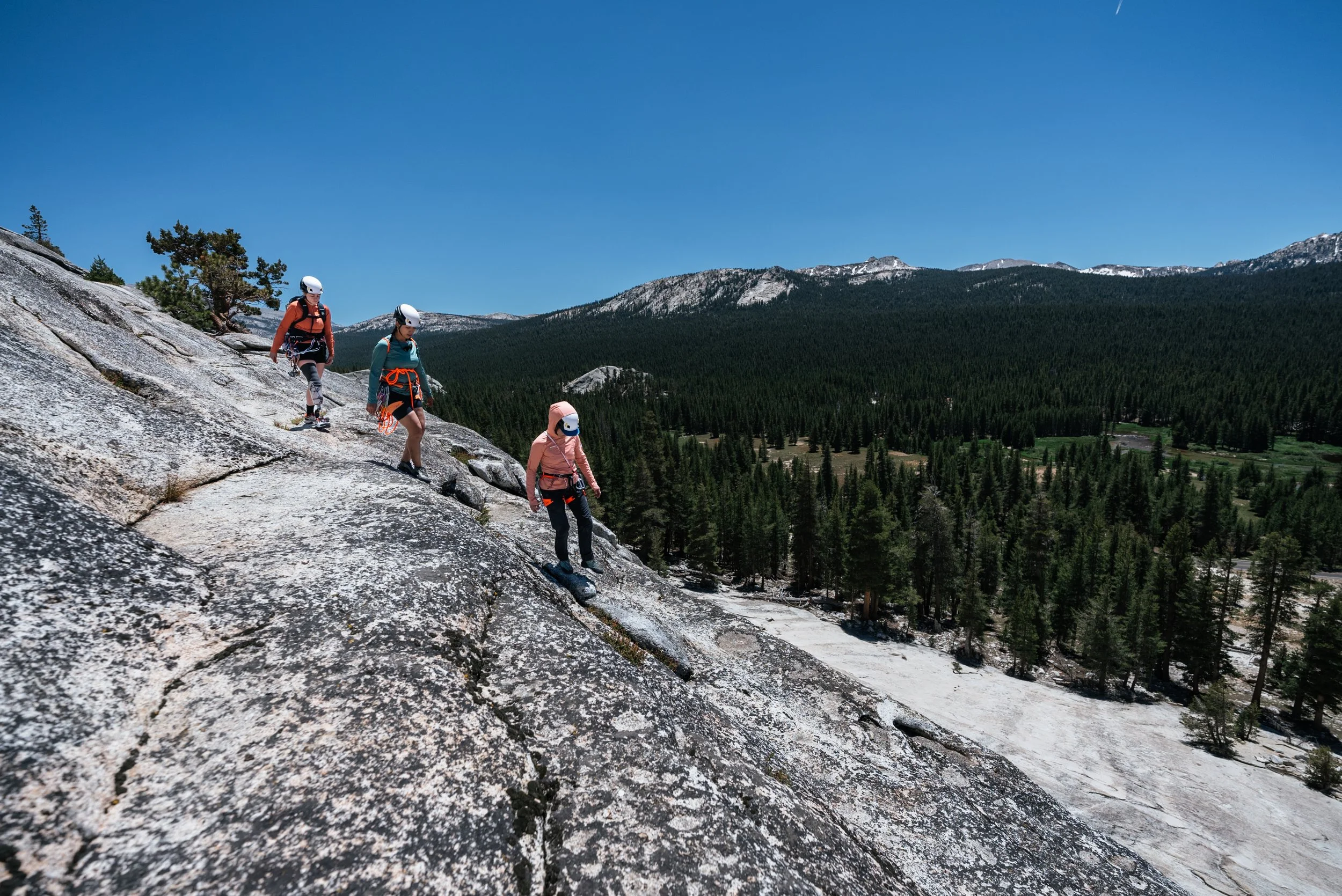 Four people rock climbing on a granite slope in a mountainous forested area under a clear blue sky.