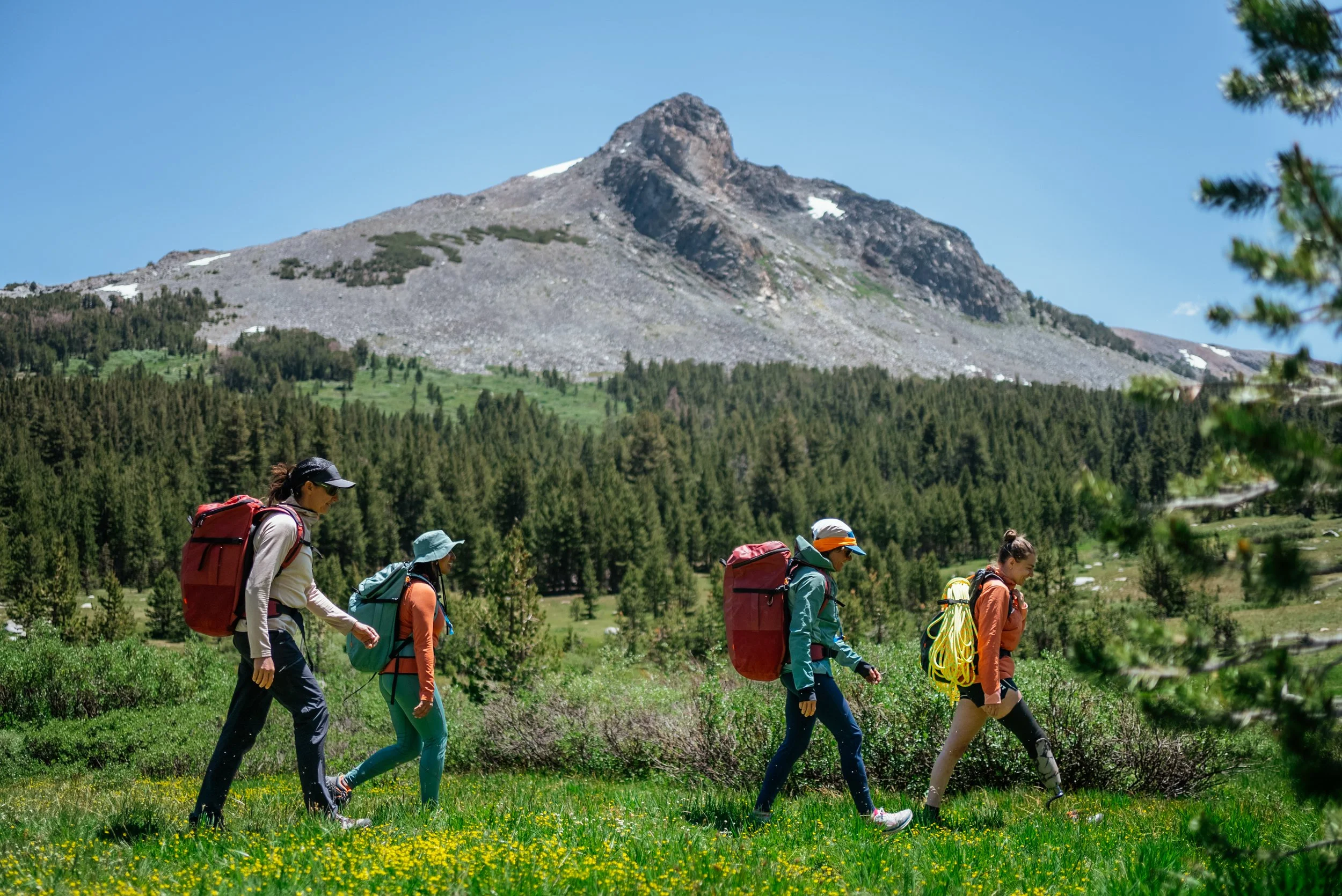 Five hikers walking through a green meadow with yellow flowers, surrounded by trees and mountains under a blue sky.