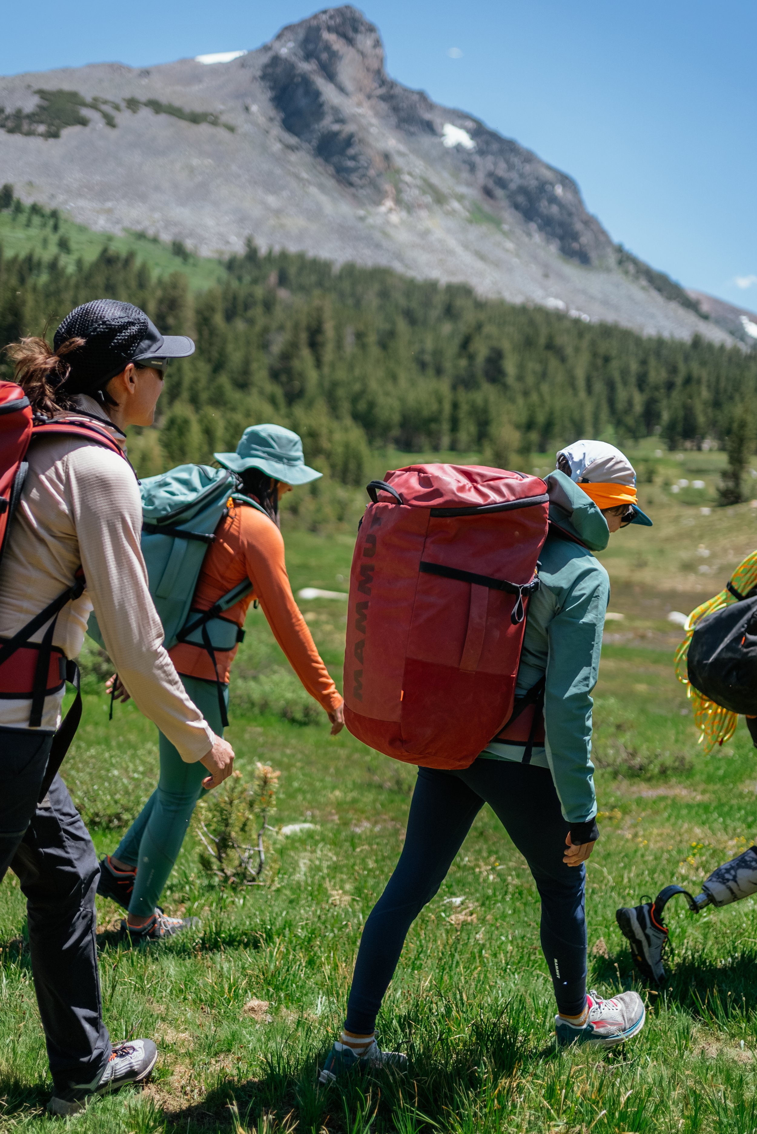 A group of hikers with backpacks walking through a lush green meadow with mountains in the background.