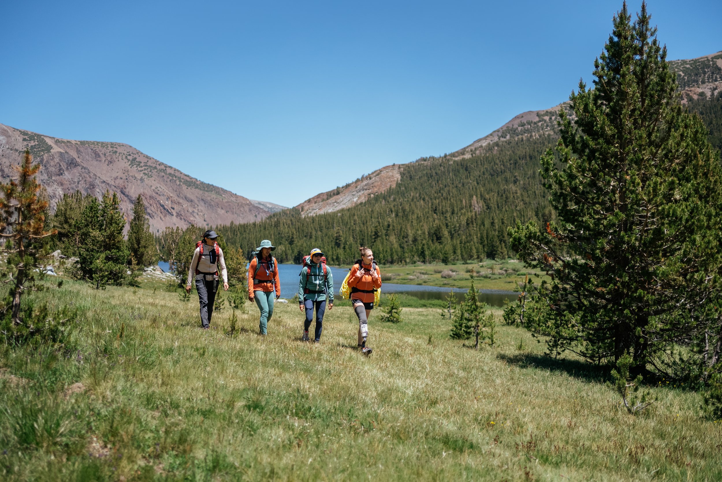Four hikers walking on a grassy trail by a river, surrounded by trees and mountains under a clear blue sky.