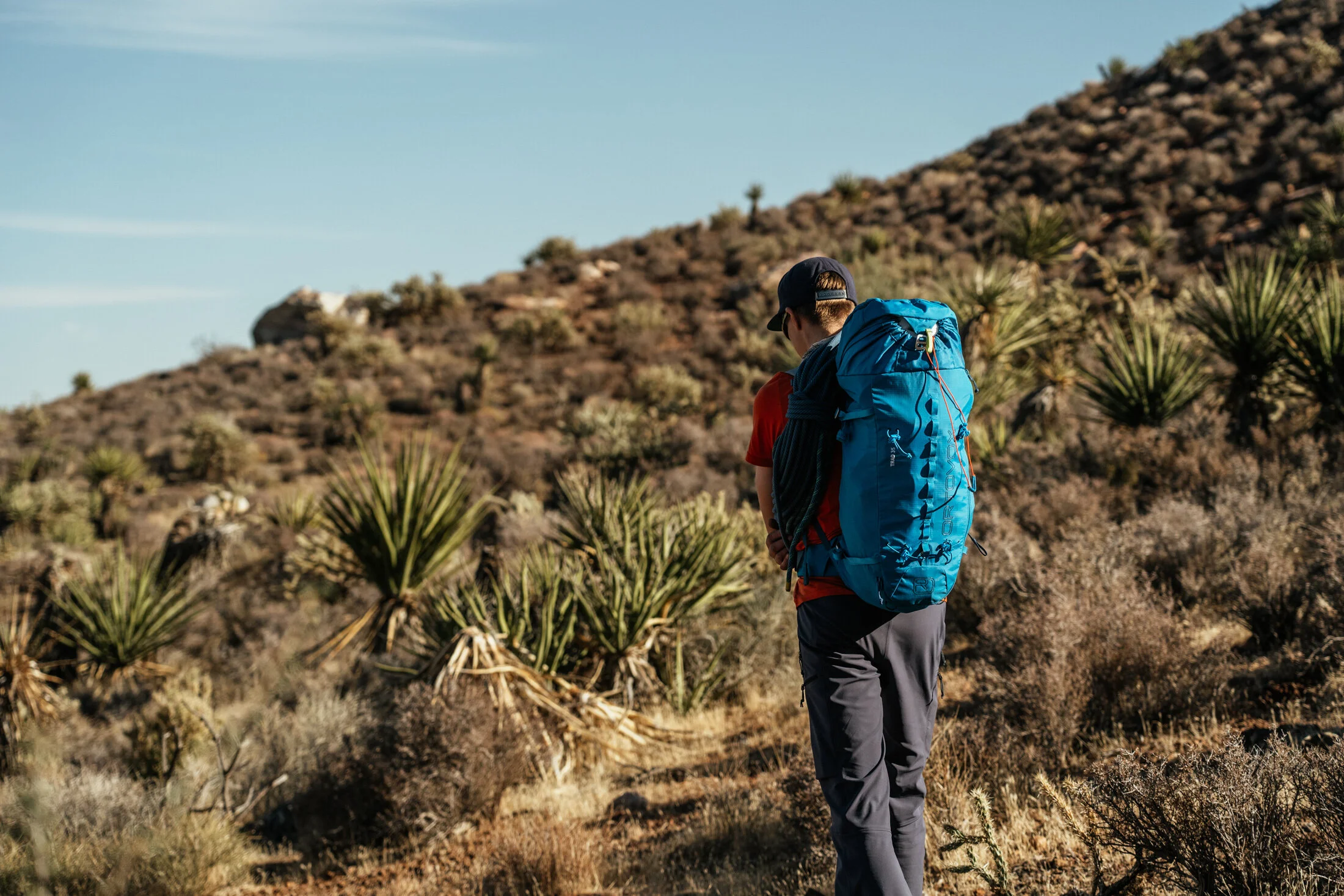 A person wearing a cap, red shirt, and gray pants hiking in a desert landscape with shrubs and small bushes, carrying a large blue backpack.
