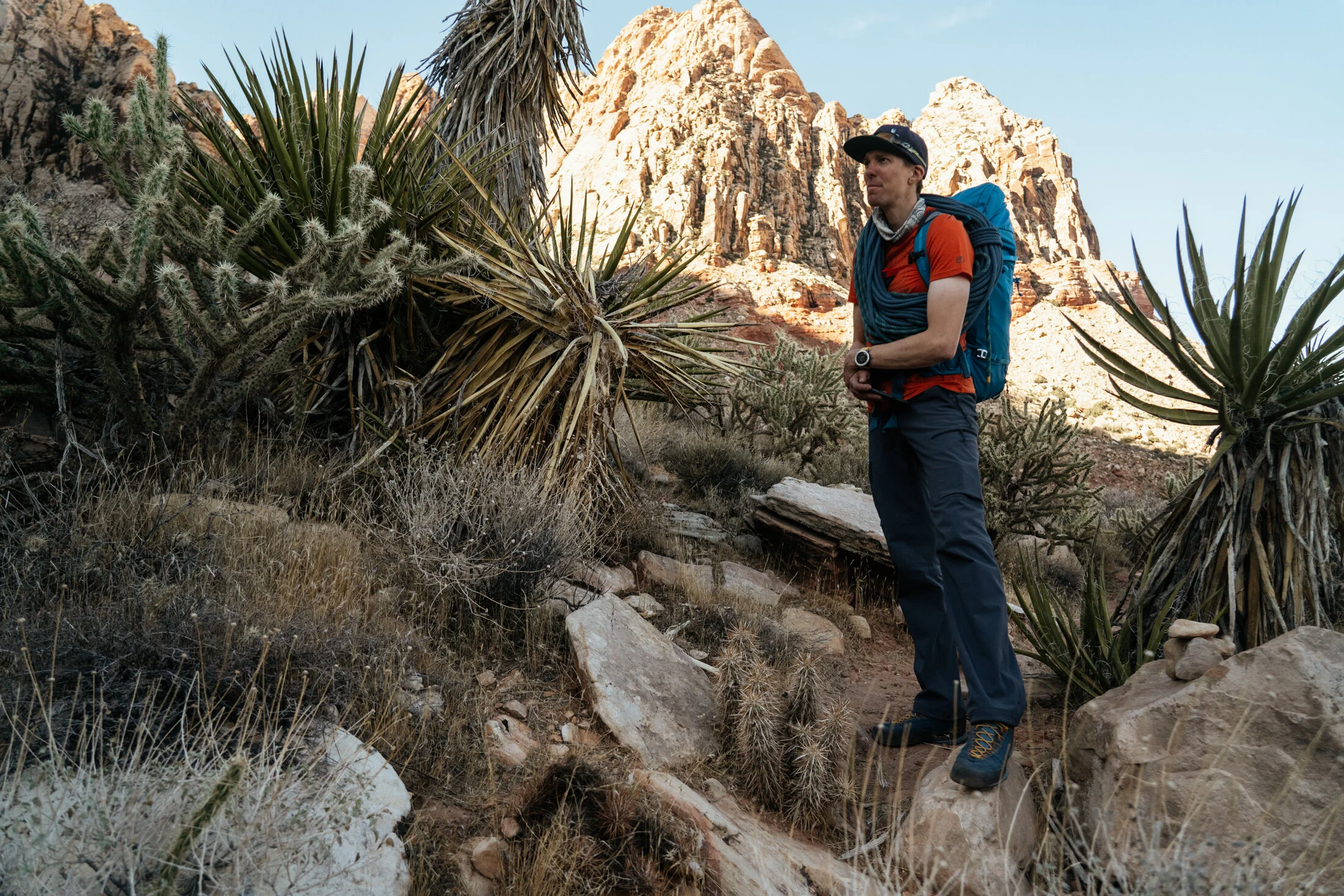 A man hiking in a desert landscape with large cacti and rocky mountains in the background.