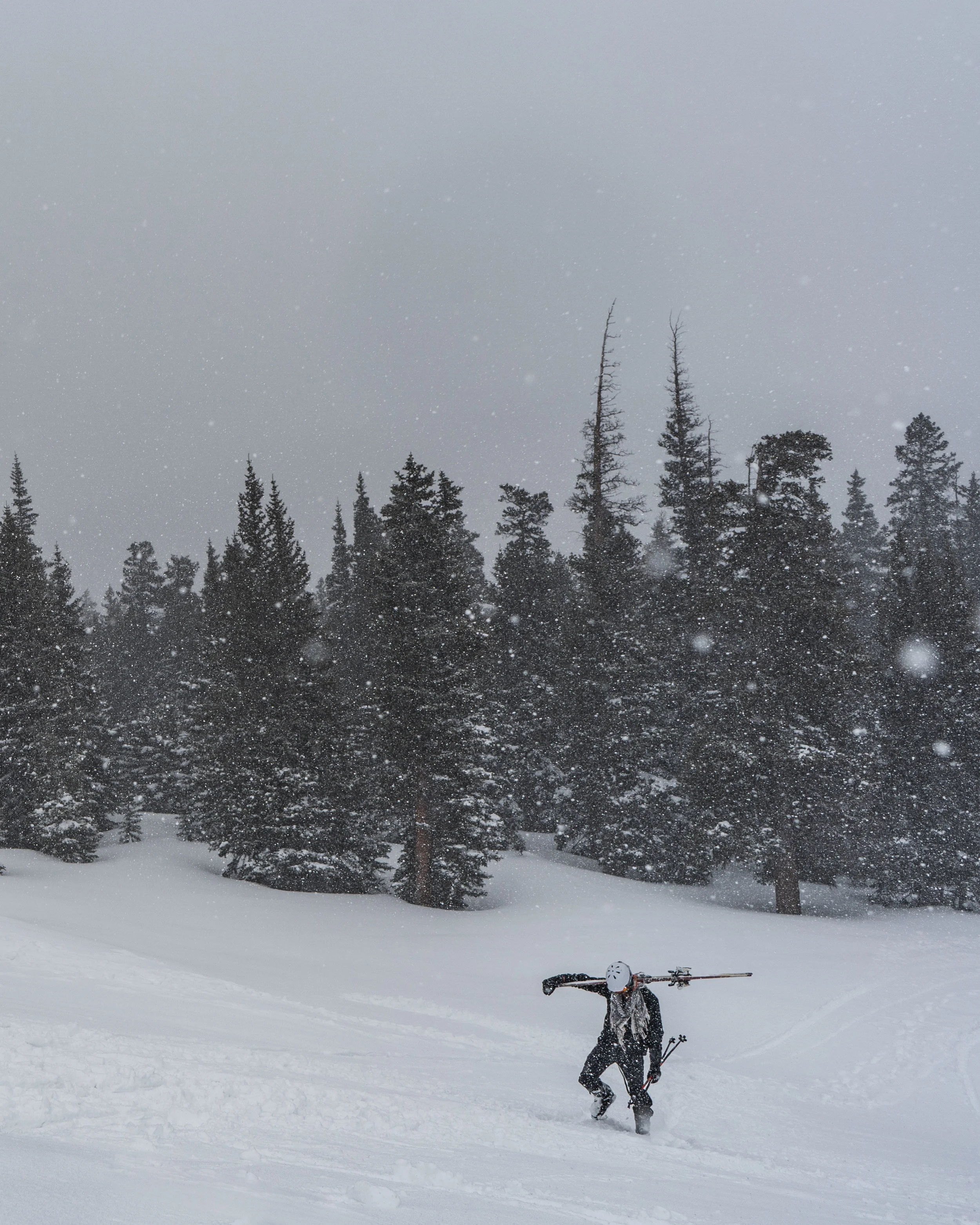 Person carrying skis on snowy trail in a forest with snow-covered trees during snowfall.