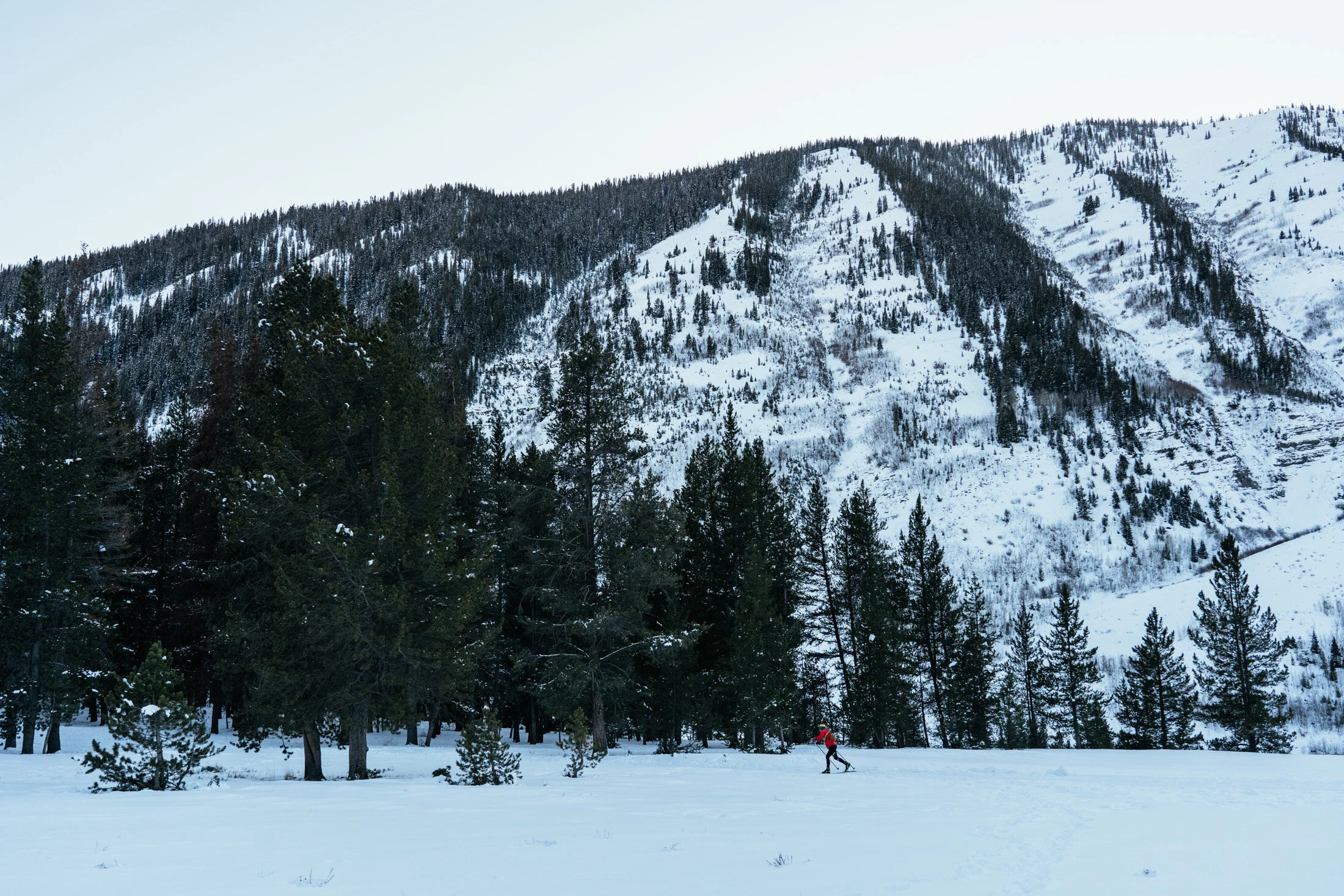 A snowy landscape with tall pine trees and snow-covered mountains in the background. A person in red outdoor gear is skiing in the snow.