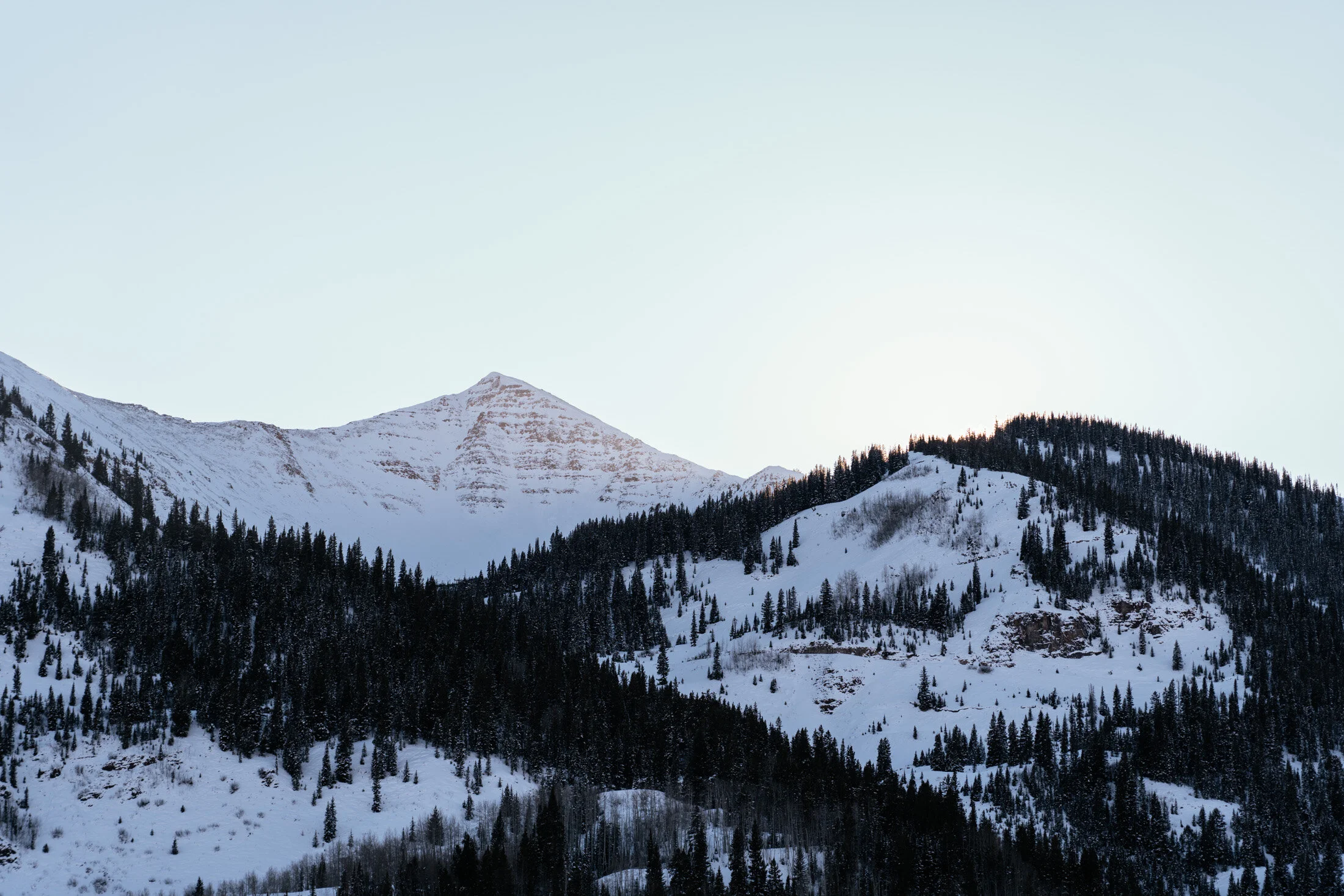 Snow-covered mountain range with pine trees on slopes under clear blue sky.