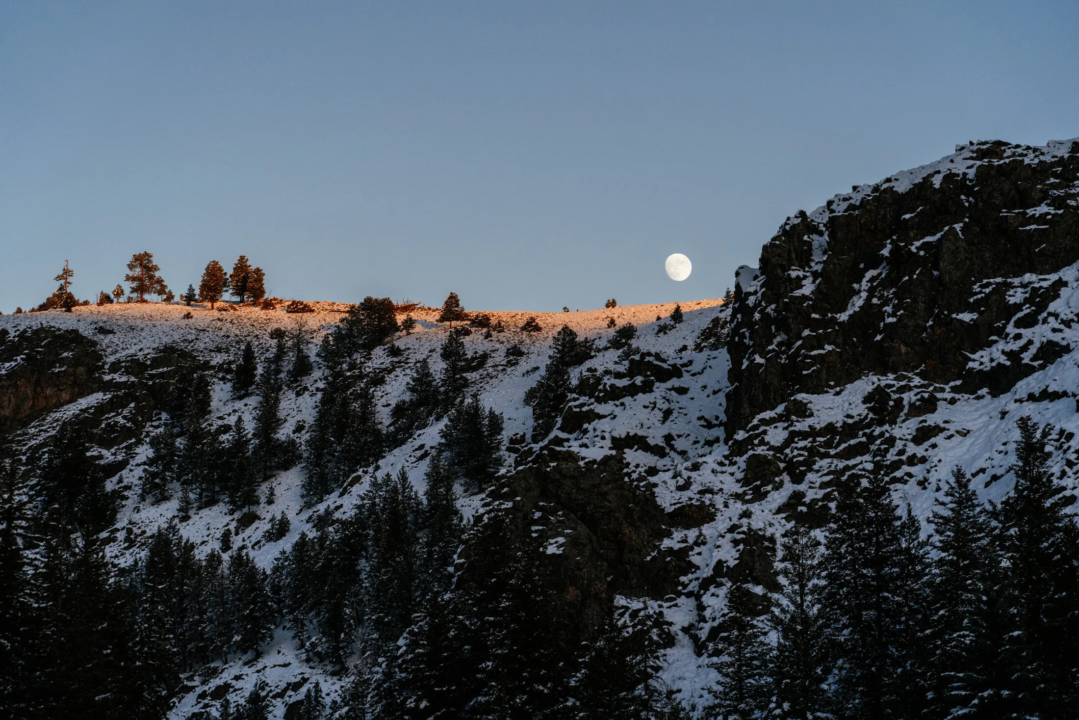 Snow-covered mountain with dark rocky cliff and pine trees under a clear sky, with a visible full moon.