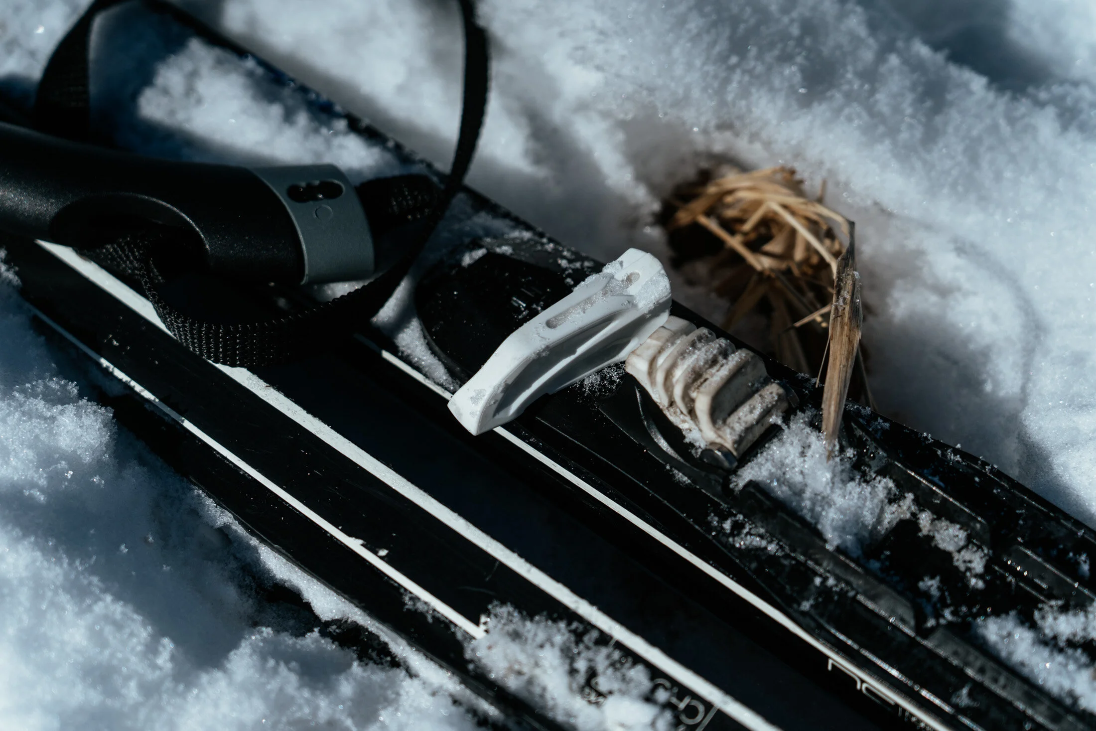 Close-up of a black ski with bindings, partially buried in snow, with some dried grass nearby.