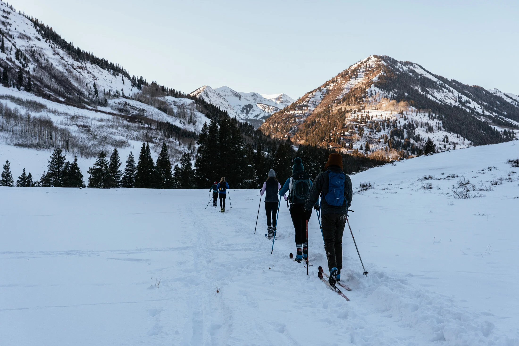 A group of people cross-country skiing through a snow-covered landscape with mountain peaks and pine trees in the background.