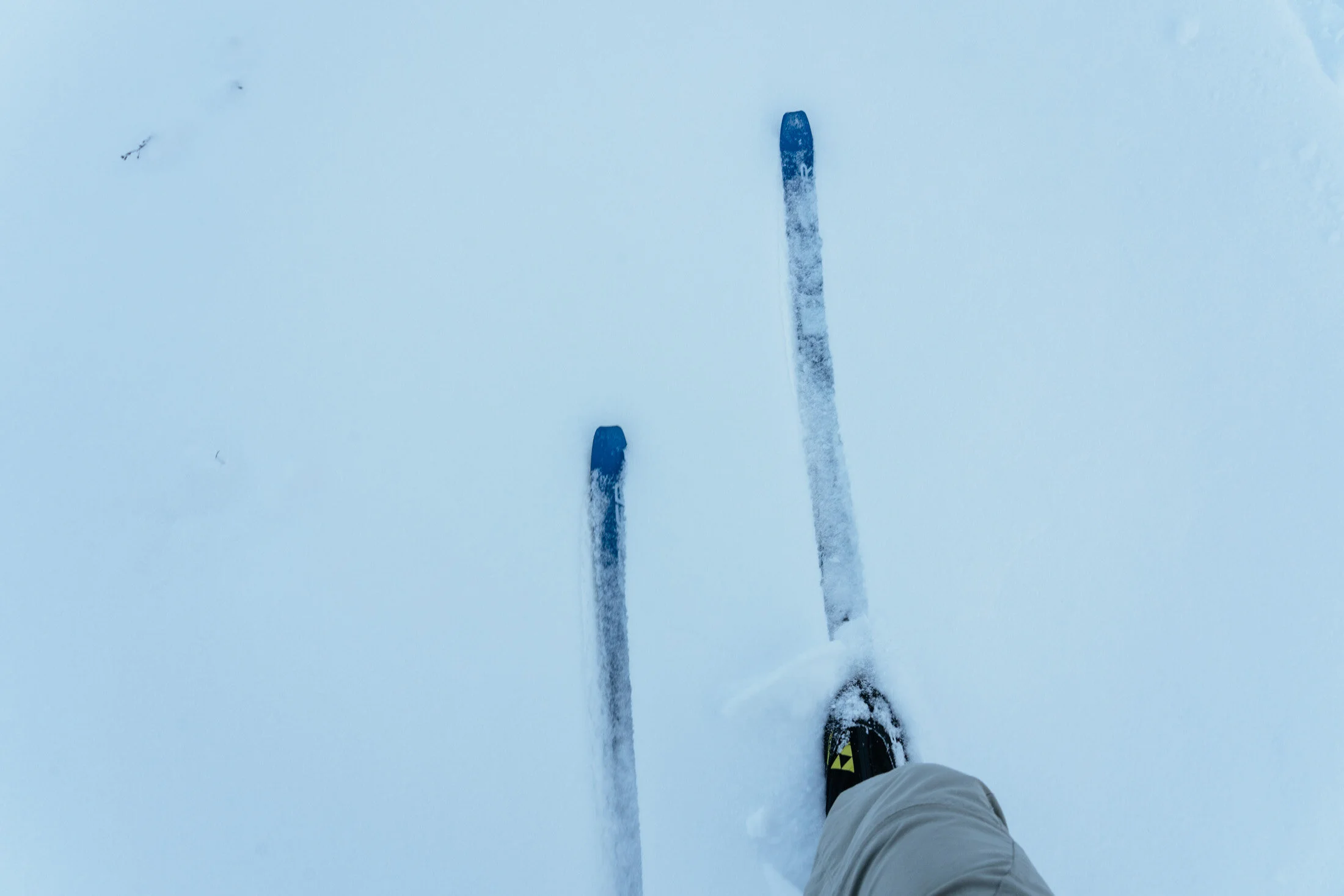 View of skis and a person's leg in snow, taken from a first-person perspective during skiing.