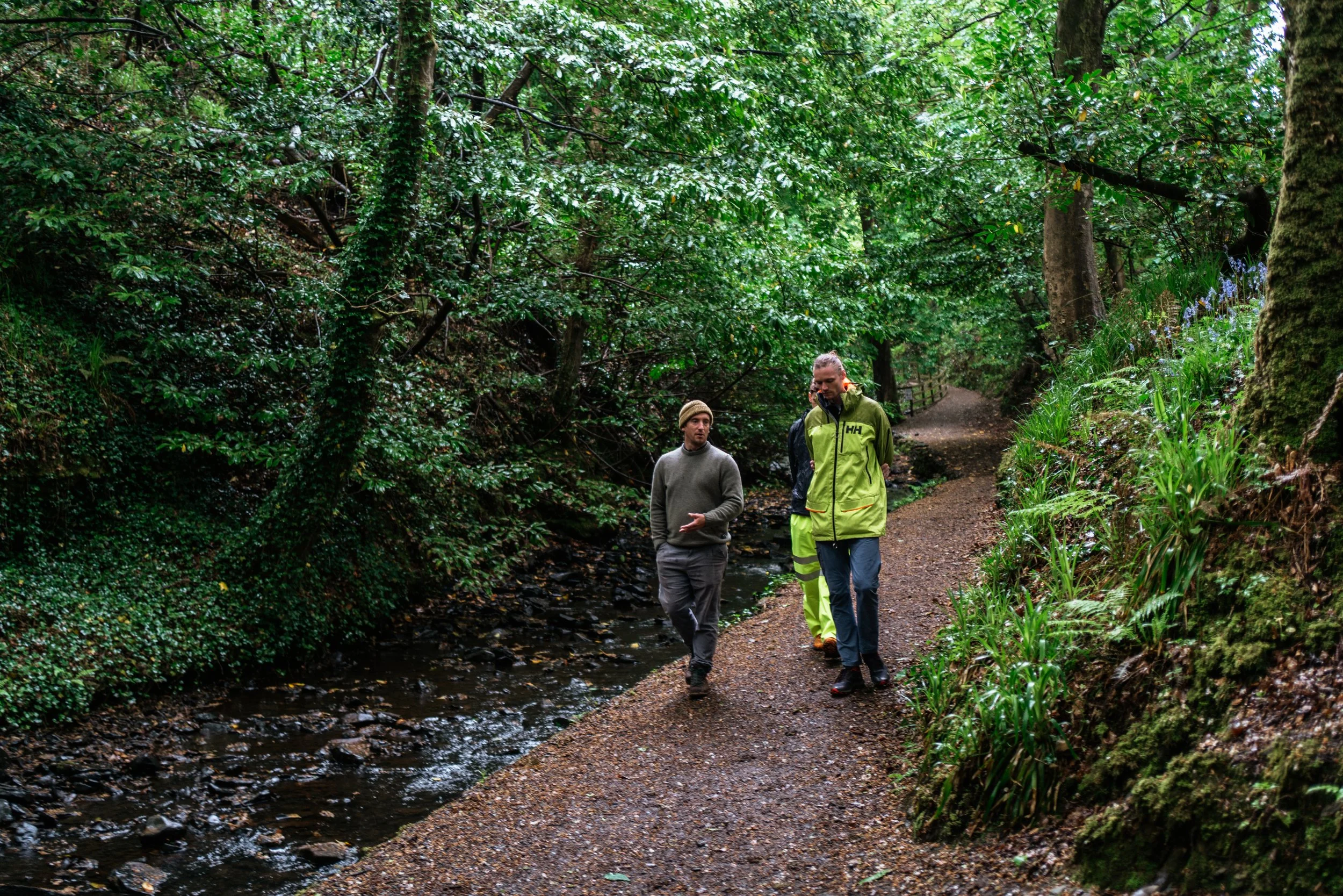 Three people walking on a trail beside a small creek in a dense forest, with lush green foliage and moss-covered trees.