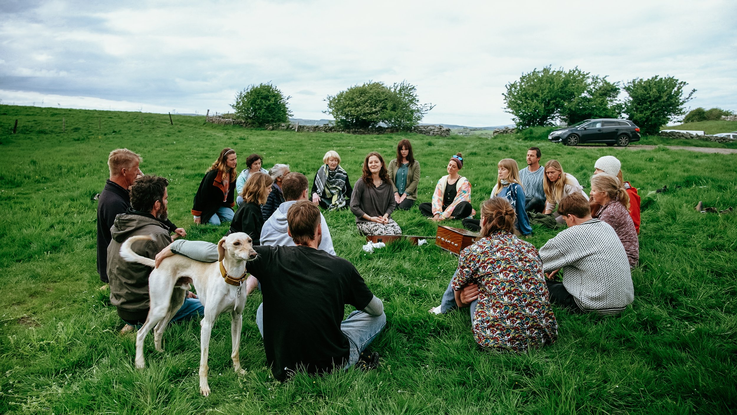 Group of people sitting in a circle on grass outdoors, some with their legs crossed, participating in a gathering with a person in the center. There are a few dogs among the participants, and trees and parked cars in the background under a cloudy sky