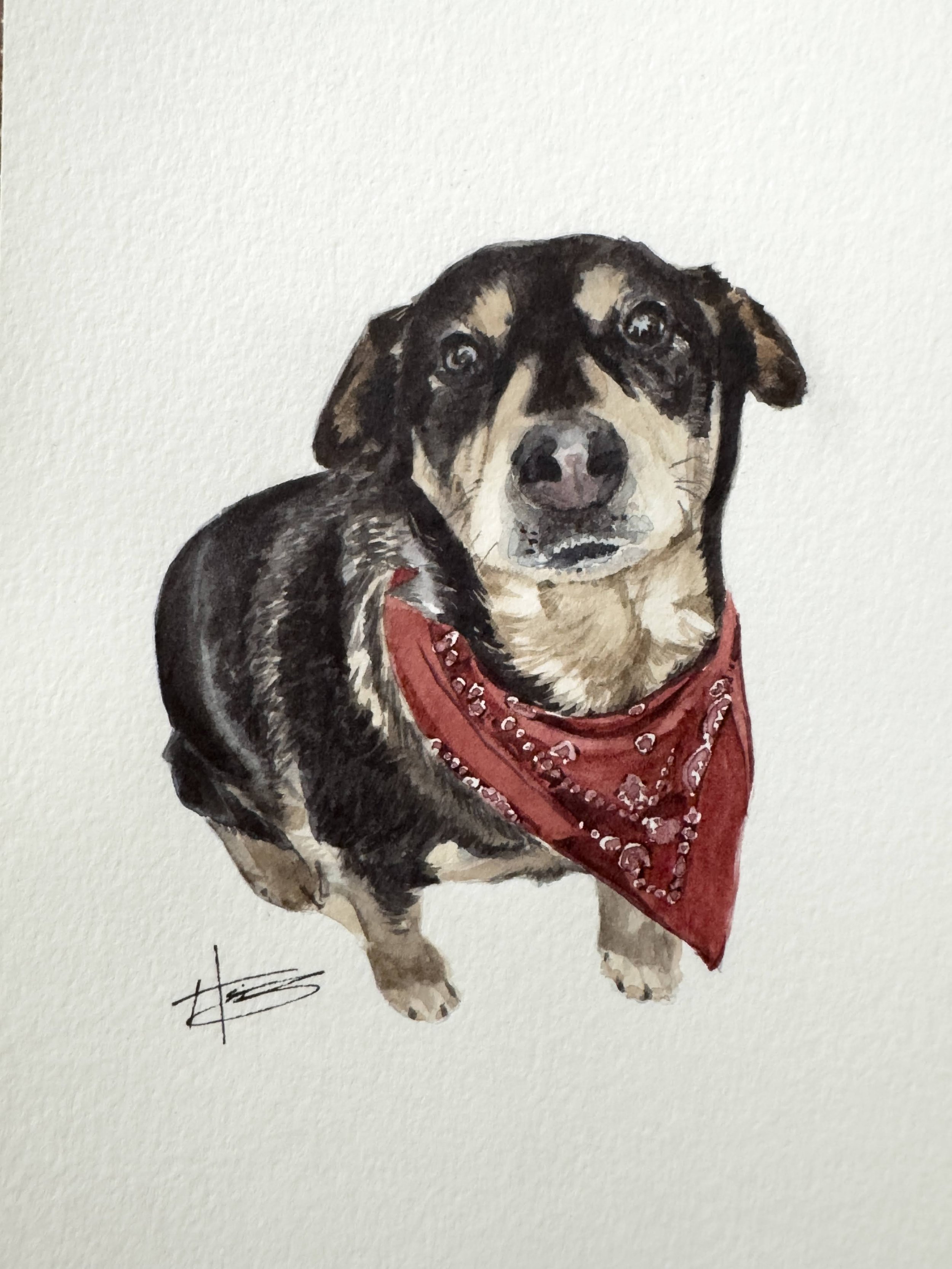 Juno, 5x7"