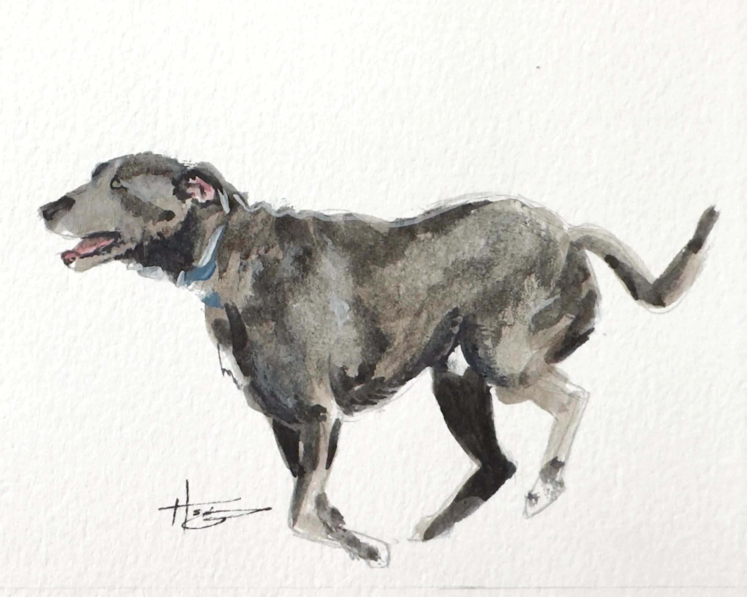 Watercolor painting of a running dog with a blue collar.