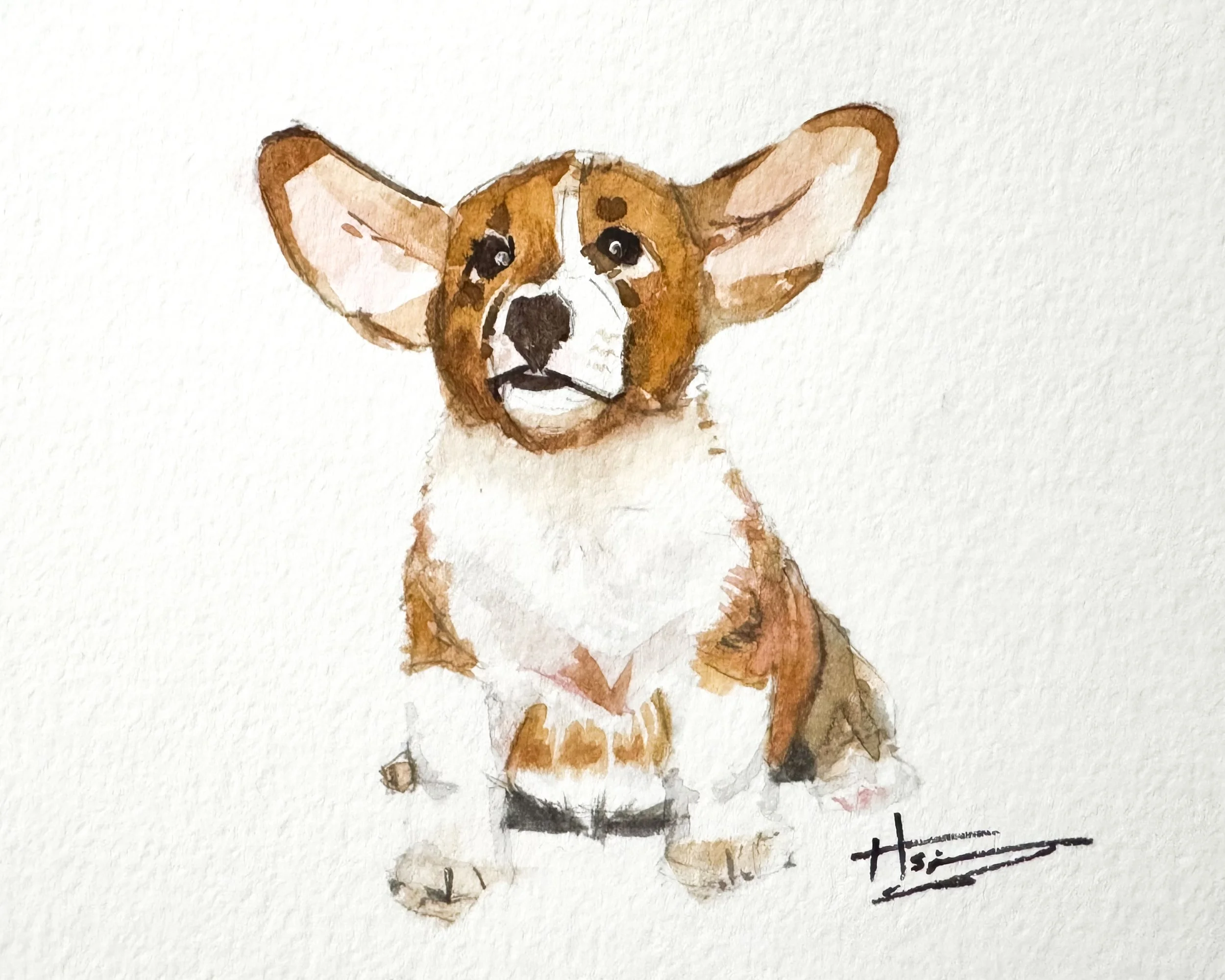 Watercolor painting of a cute Corgi dog with big ears and expressive eyes, sitting on a white background, signed by the artist.