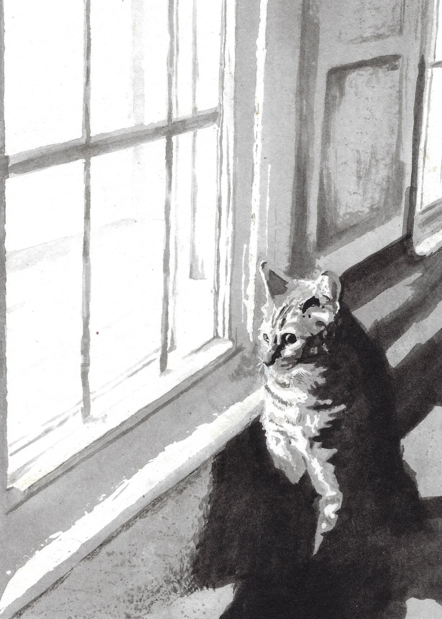 Murphy, 5x7"
