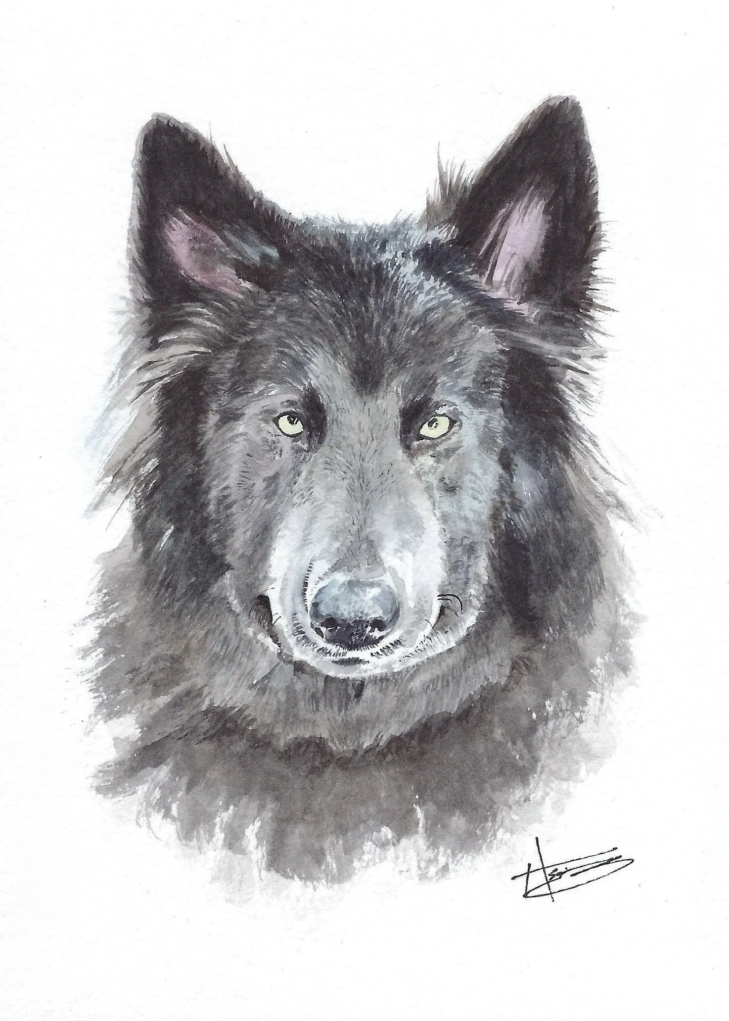 Maeve, 5x7"