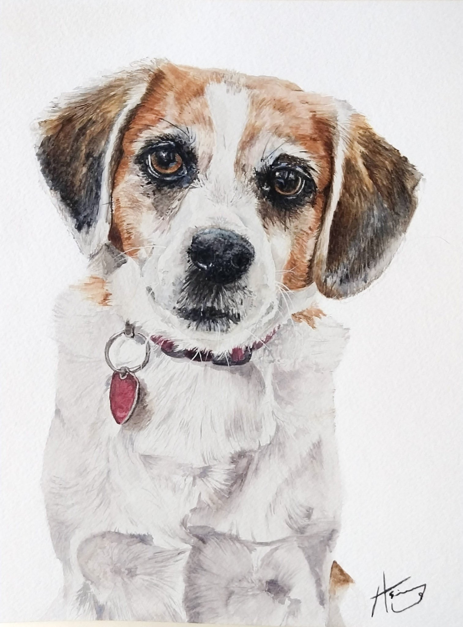 Watercolor painting of a puppy with brown and white fur, dark eyes, and a red collar with a tag, set against a white background.