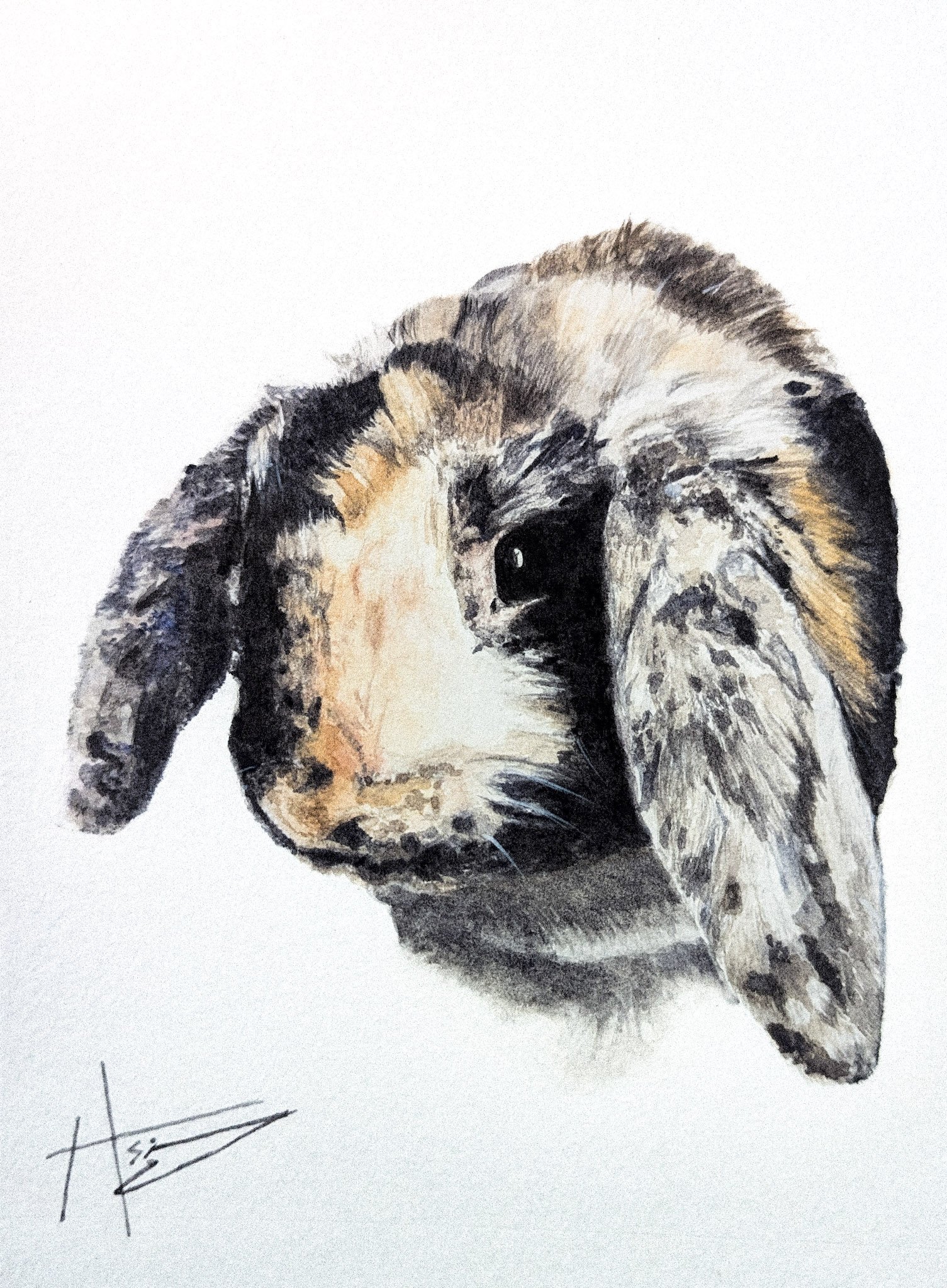 Watercolor painting of a puppy with brown, black, and white fur, looking to the side, on a white background.