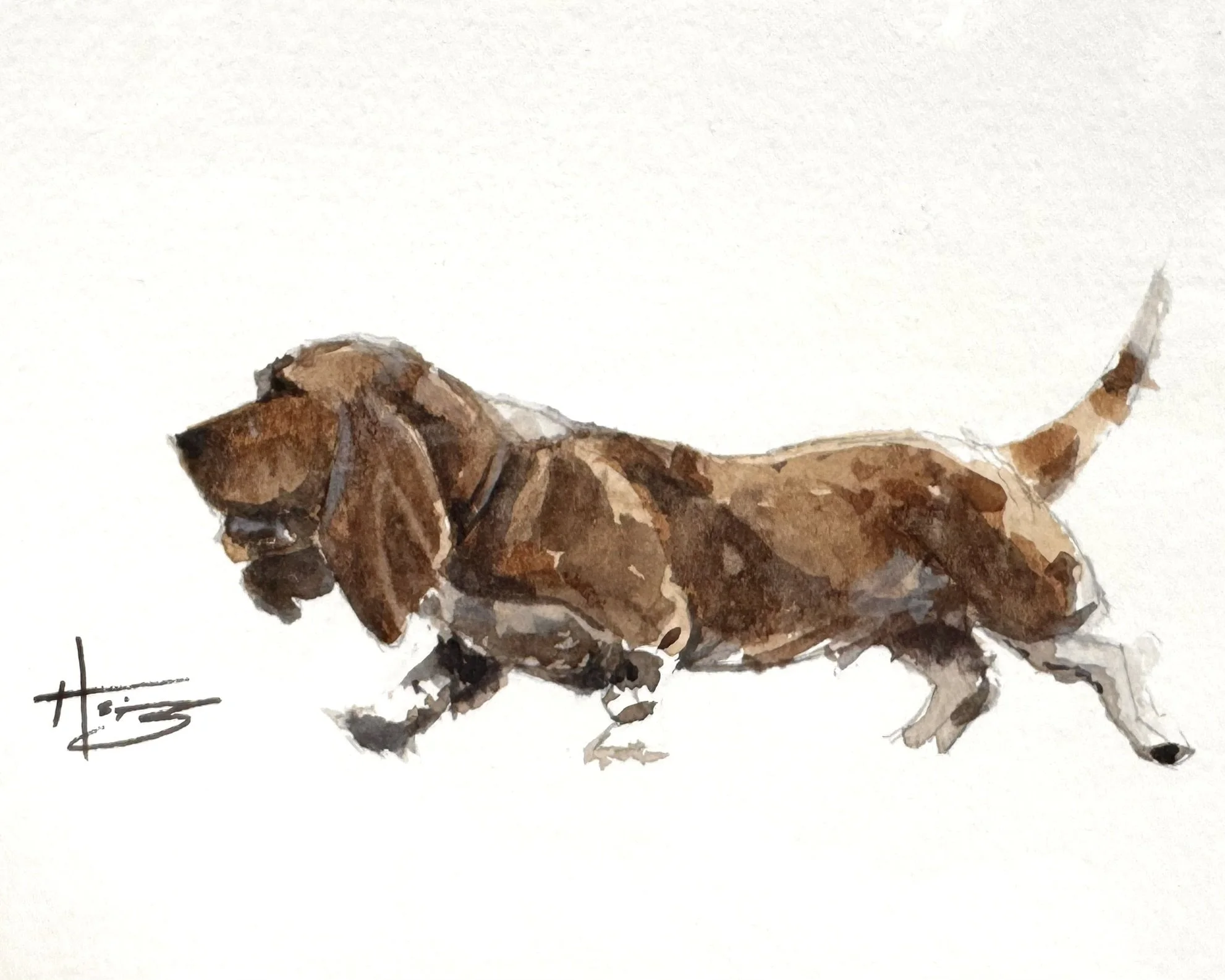 Watercolor painting of a running brown dog with long ears and a tail, signed by the artist in the lower left corner.