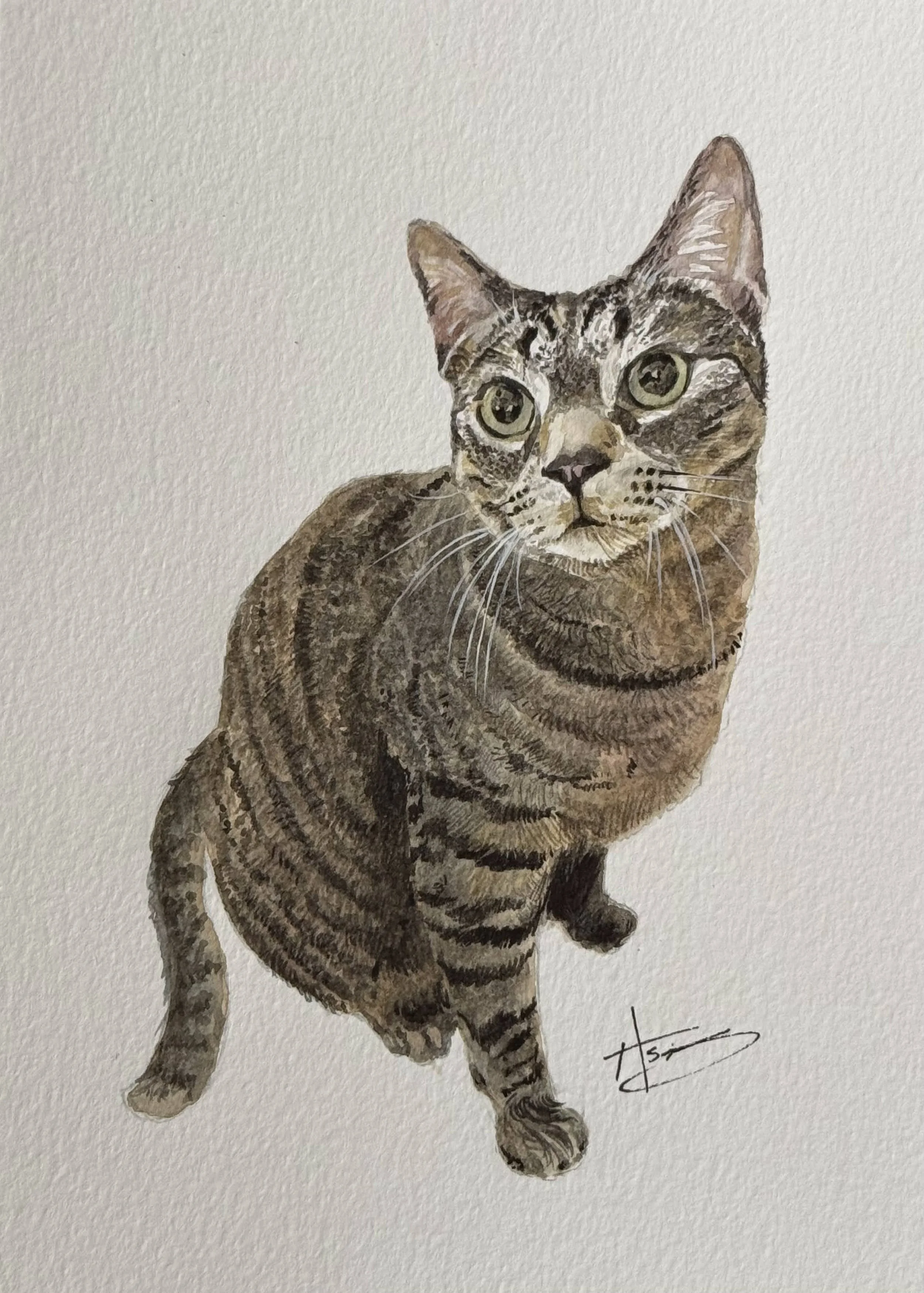 Charley, 5x7"