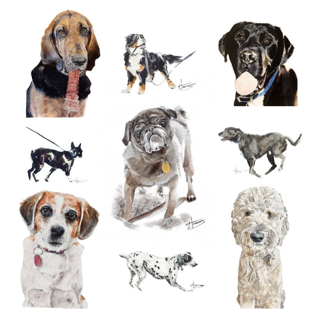 Collection of nine watercolor illustrations of different dogs, including a bloodhound with a strip of meat, a Bernese Mountain Dog, a black Labrador with tongue out, a small black and white Chihuahua, a pug with a tag, a Weimaraner, a beagle, a Dalmatian, and a curly-haired dog.