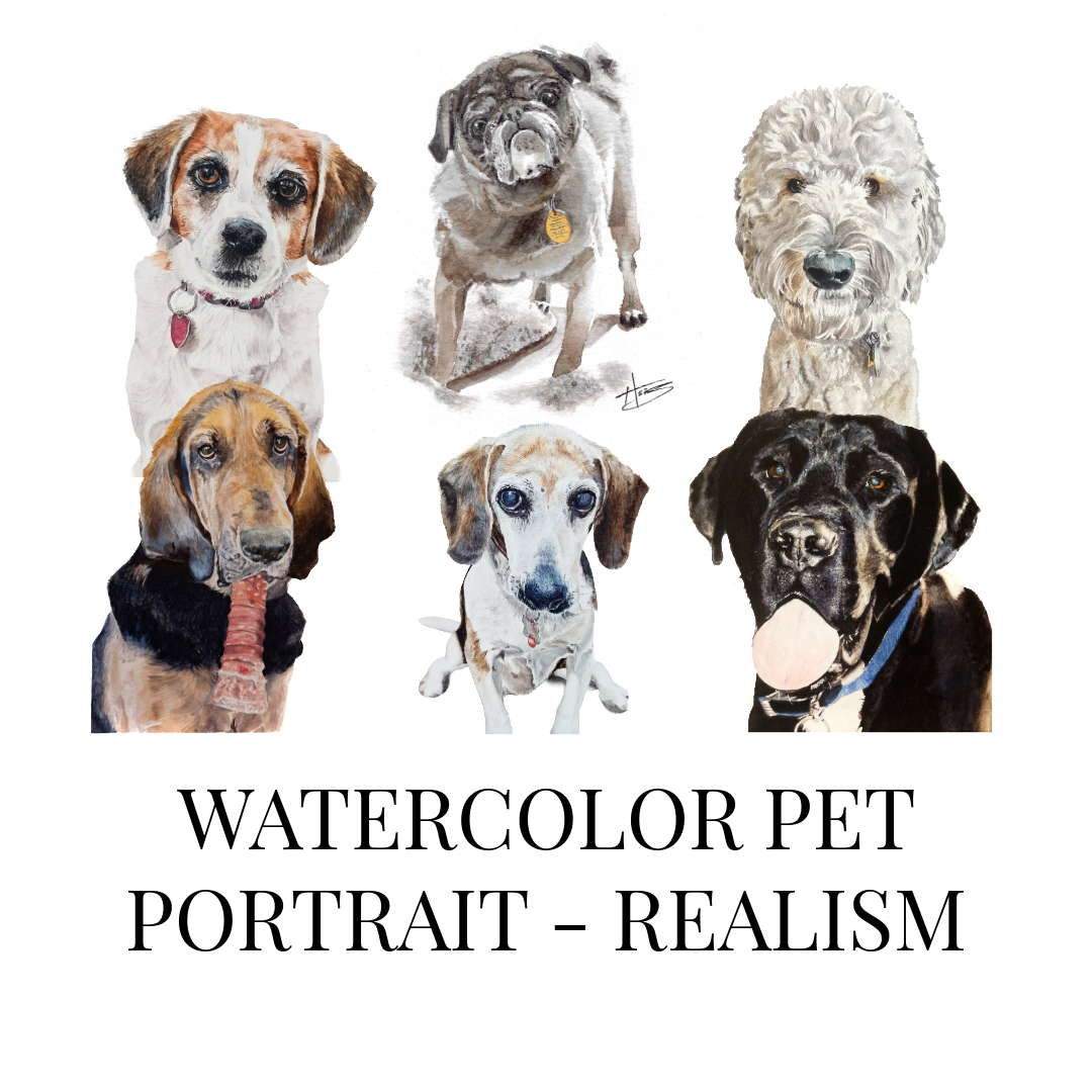 Watercolor Pet Portrait - Realism