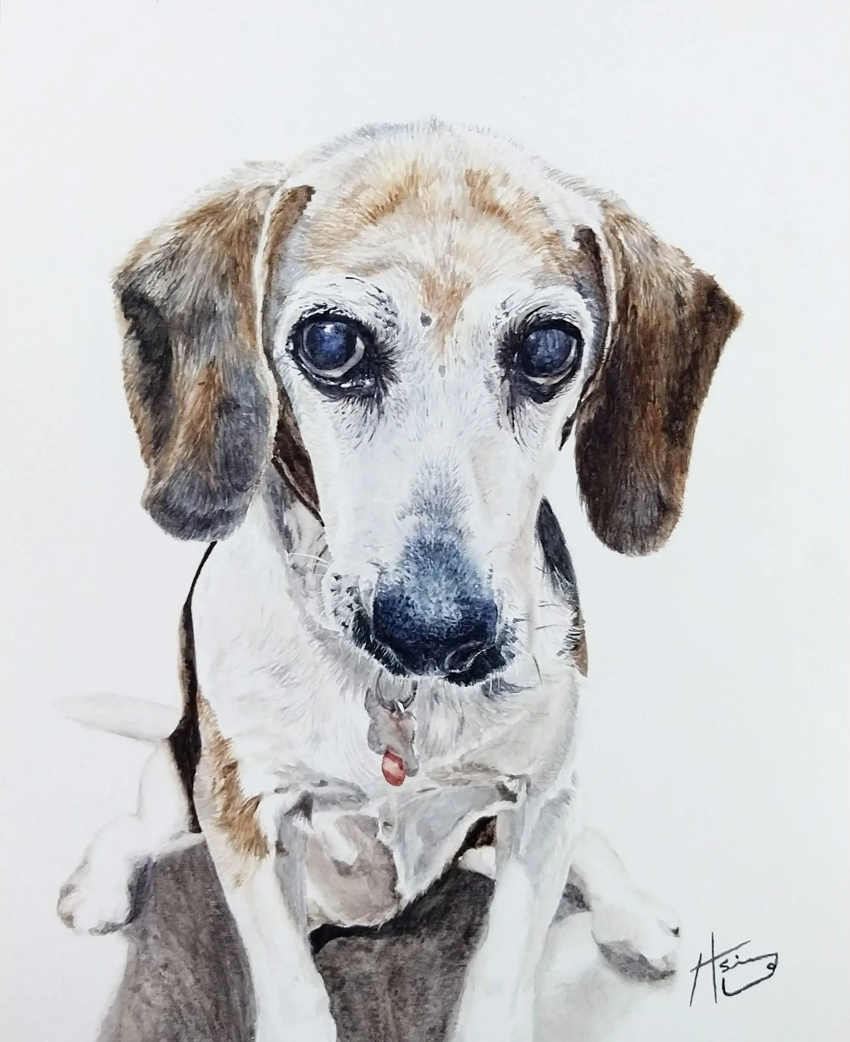 A realistic watercolor painting of a sad-looking basset hound dog with long ears and droopy eyes, sitting on a plain white background.