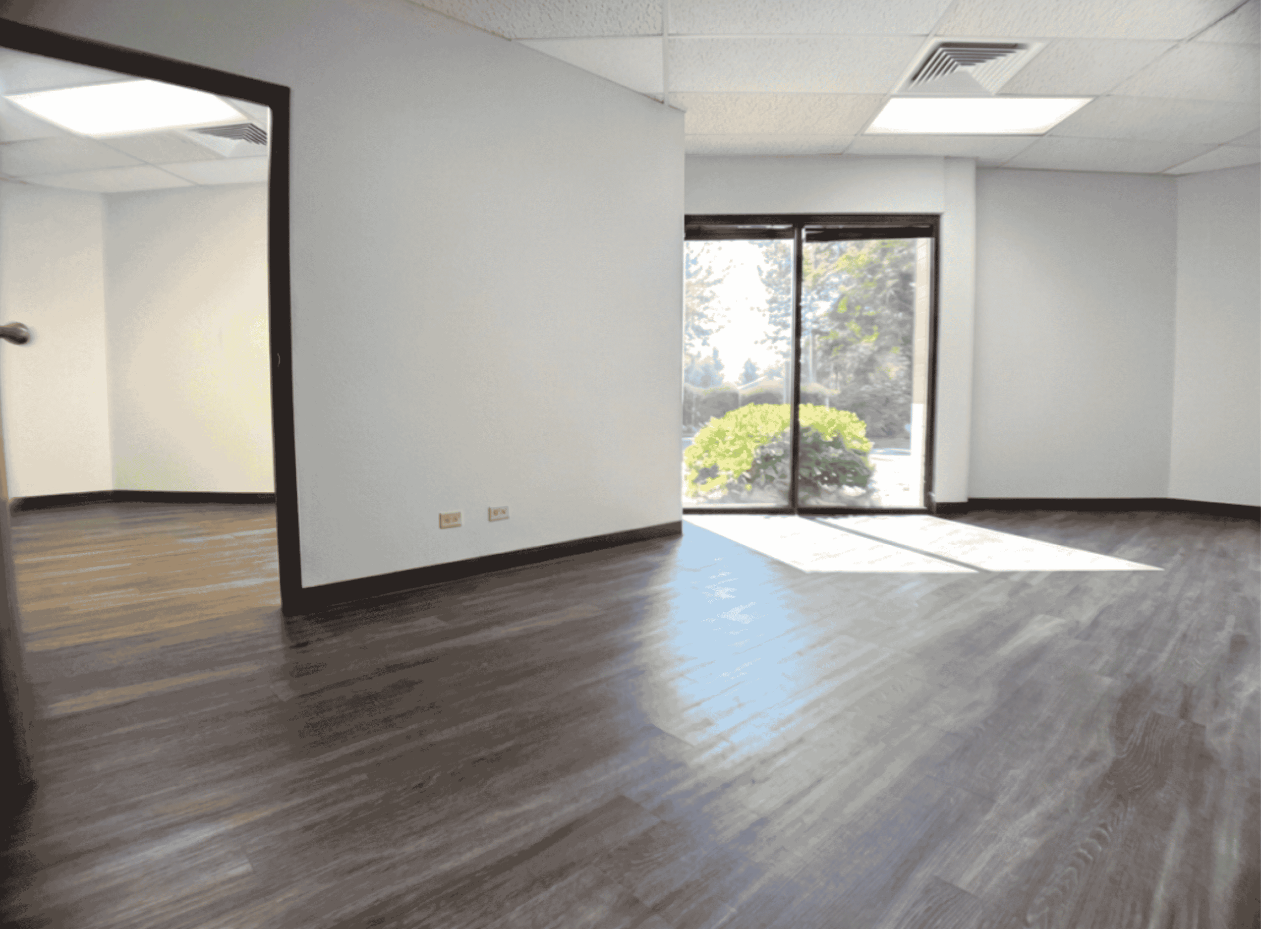 216 Office