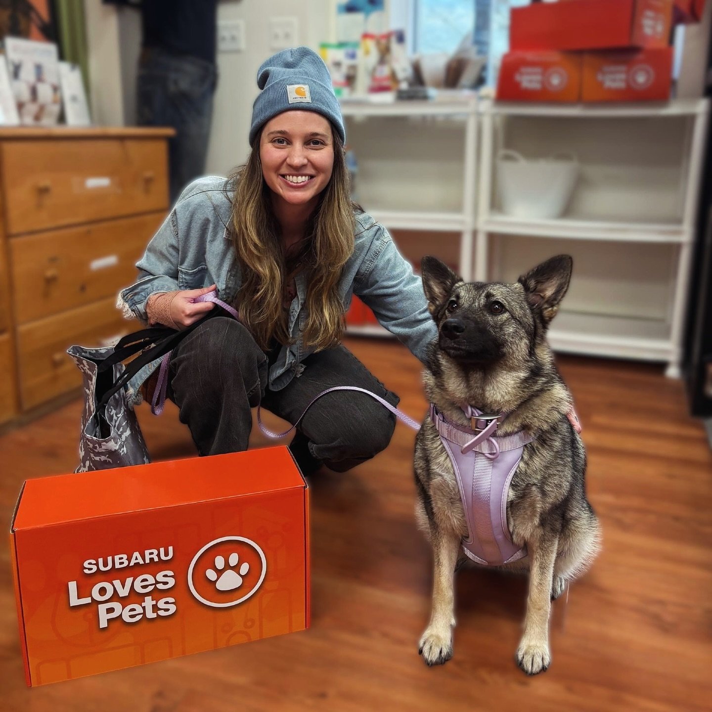 Surprise! Meet Cozy, the newest member of our pack, and the newest addition to my home 💜