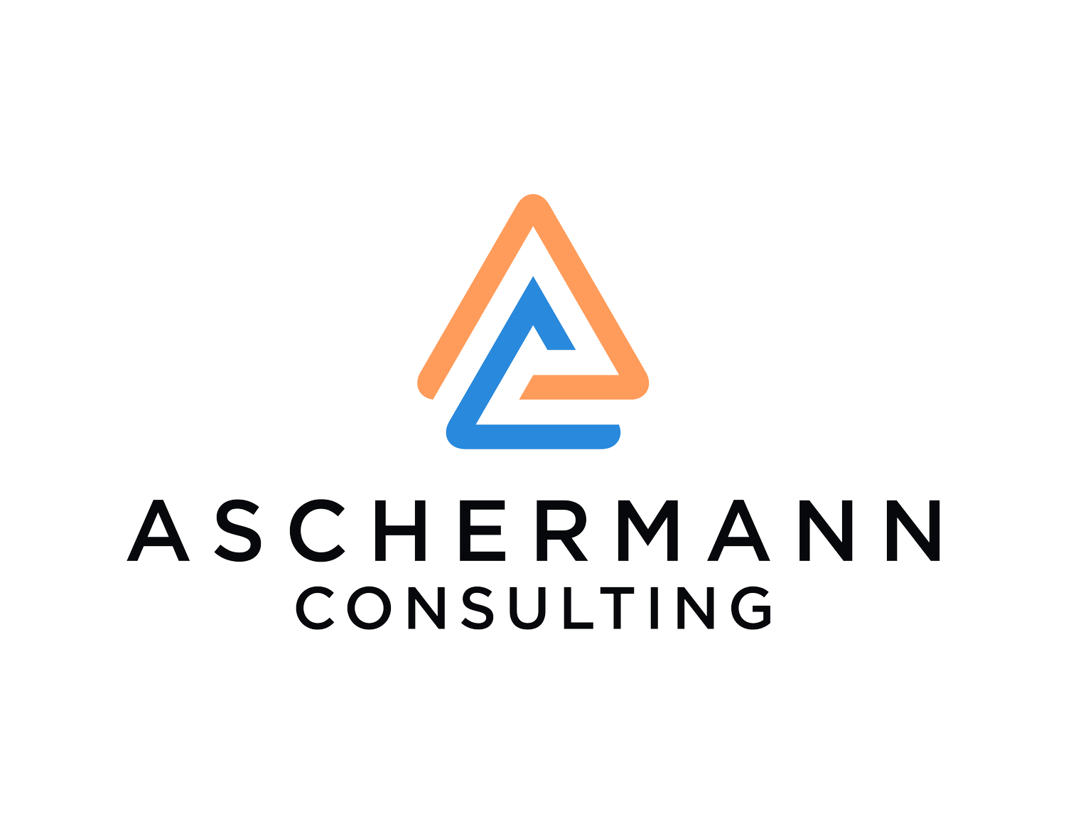 Aschermann Consulting (Copy)