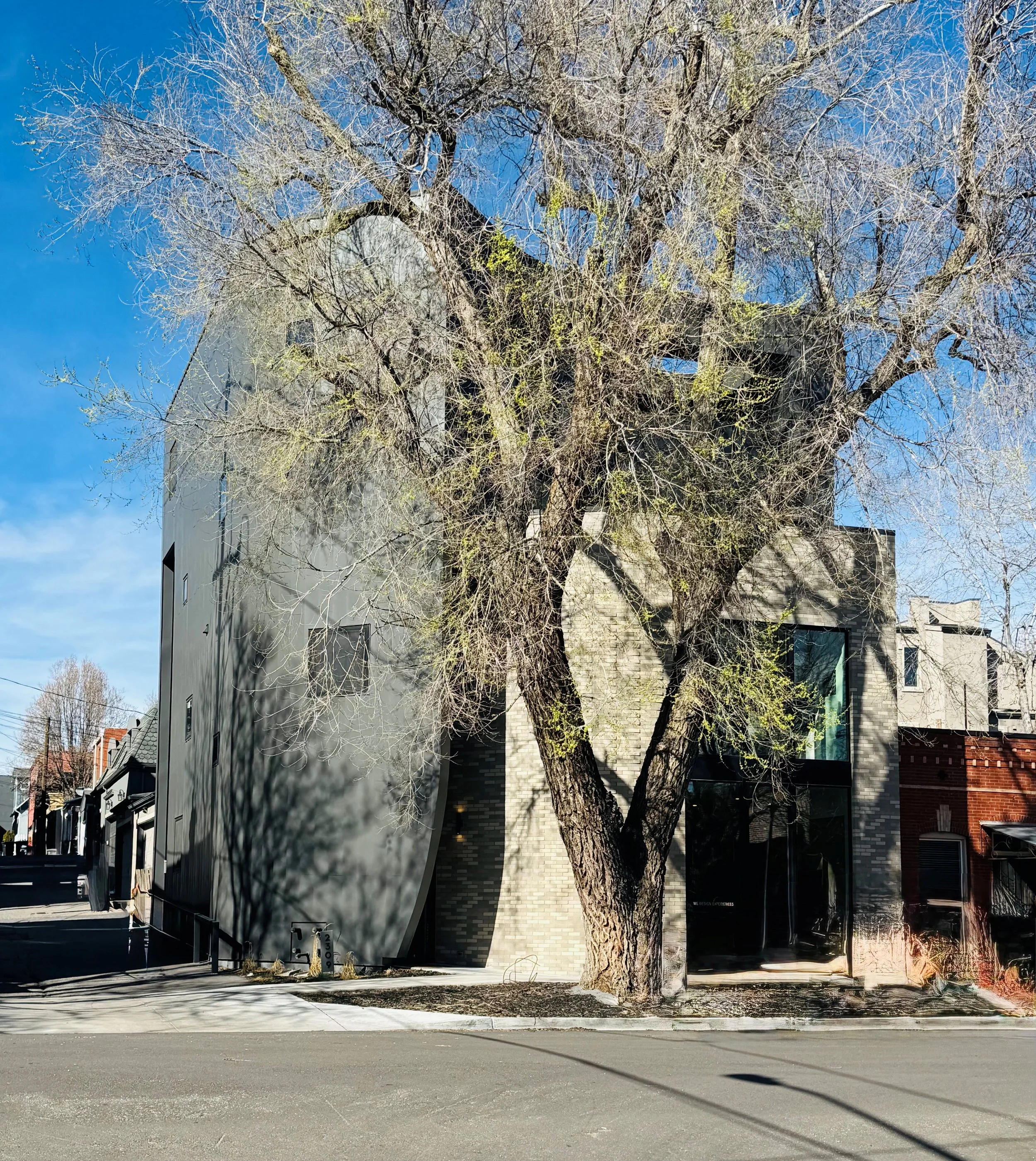 Tomecek Studio Building