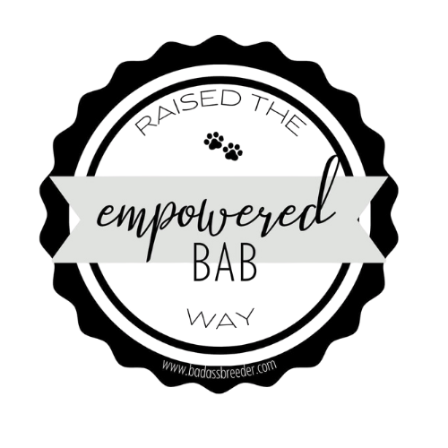Black circular logo with a white banner across the center that says "empowered" in cursive and "BAR" in uppercase. The logo has a subtle, circular design with text around the edges.