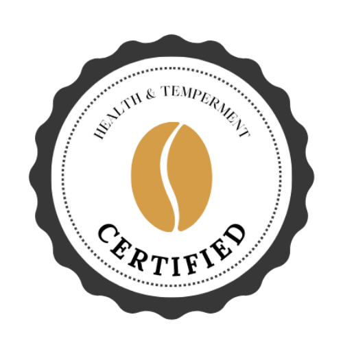 Close-up of a wristwatch with a dark face and a brown leather strap.