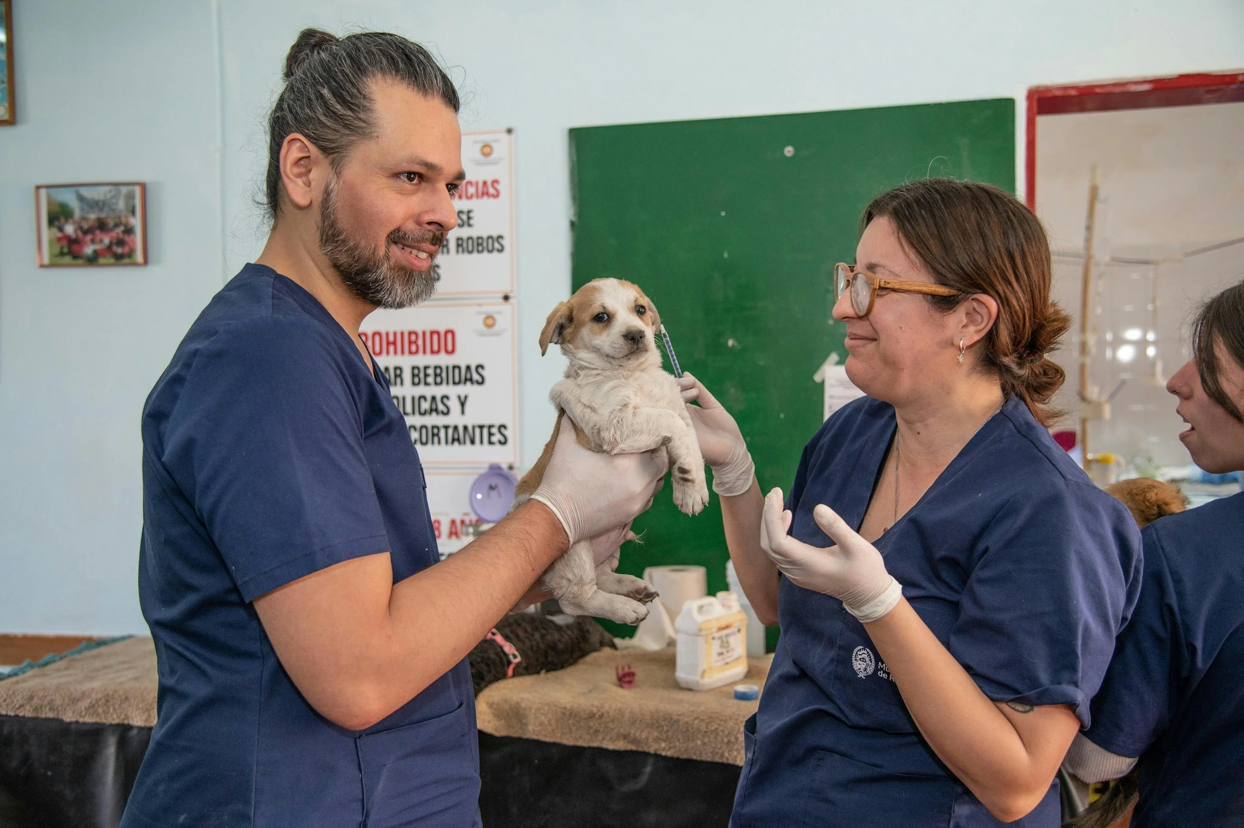 Why We Deworm Every Puppy, Even When Mom Tests Clean