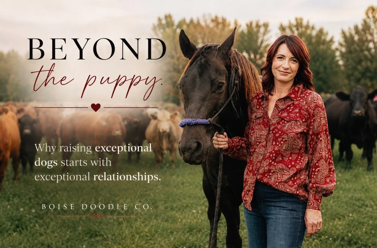 People Before Puppies: Why Finding the Right Family Matters More Than Selling a Puppy