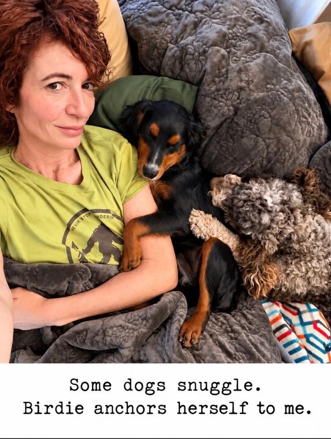 People Before Puppies: Why the Family at the End of the Leash Matters Most