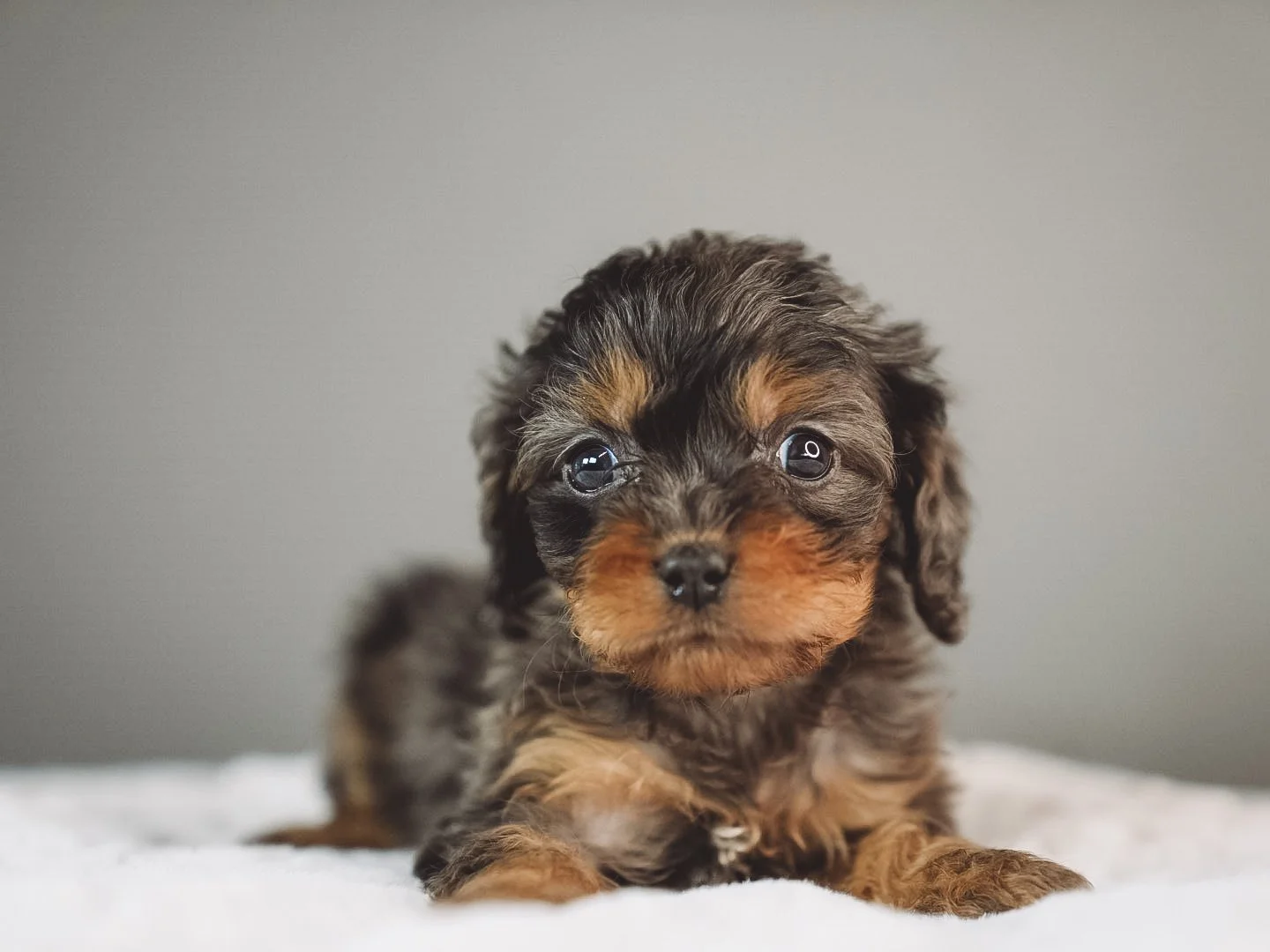 DSC07351.JPG